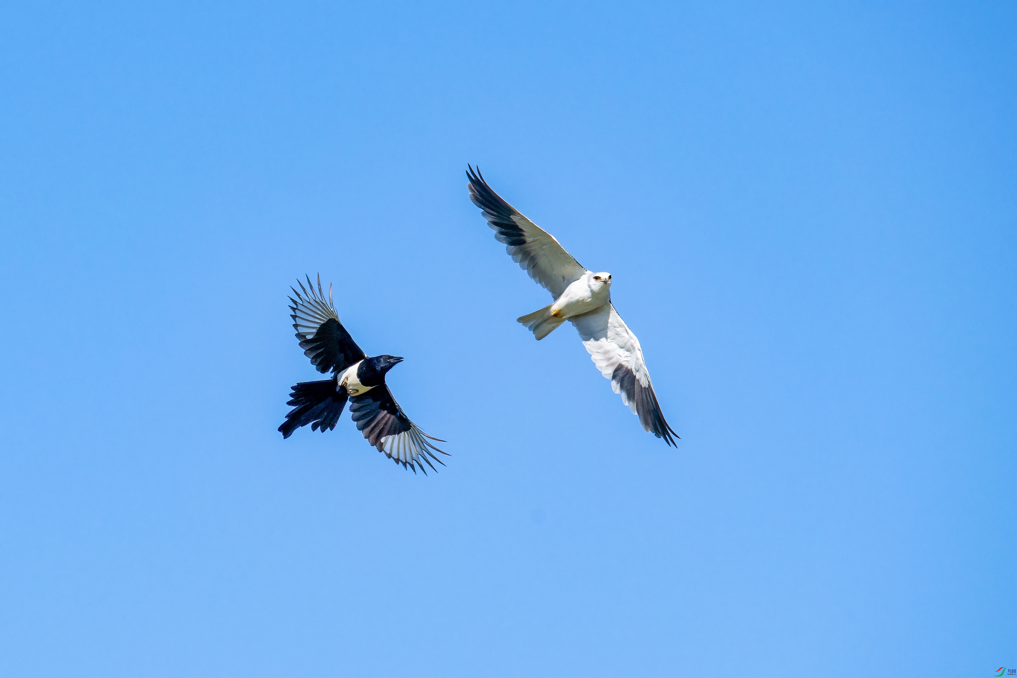 DSC_0388.jpg