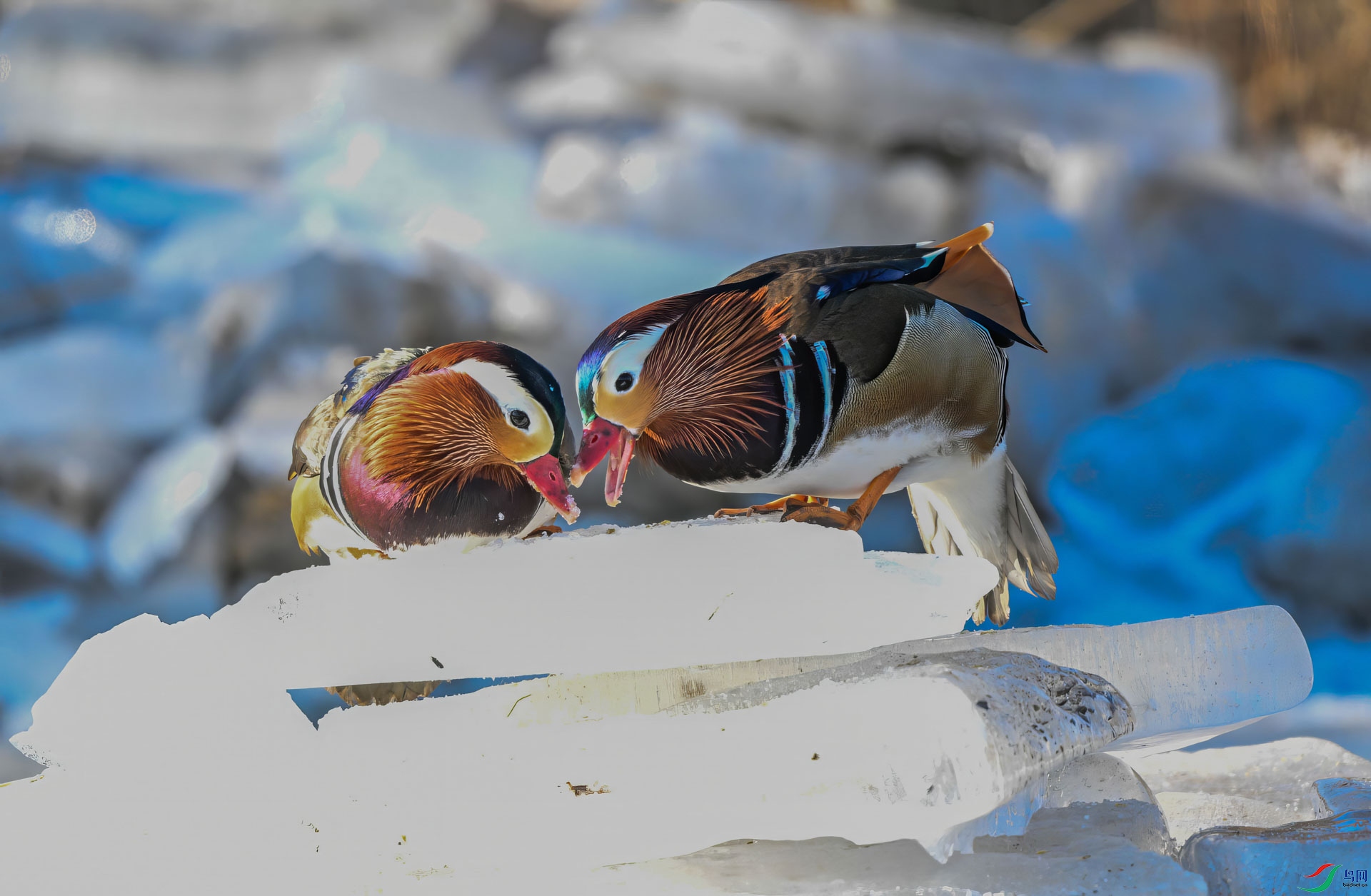 ԧ��-112-topaz-enhance-2.2x.jpeg