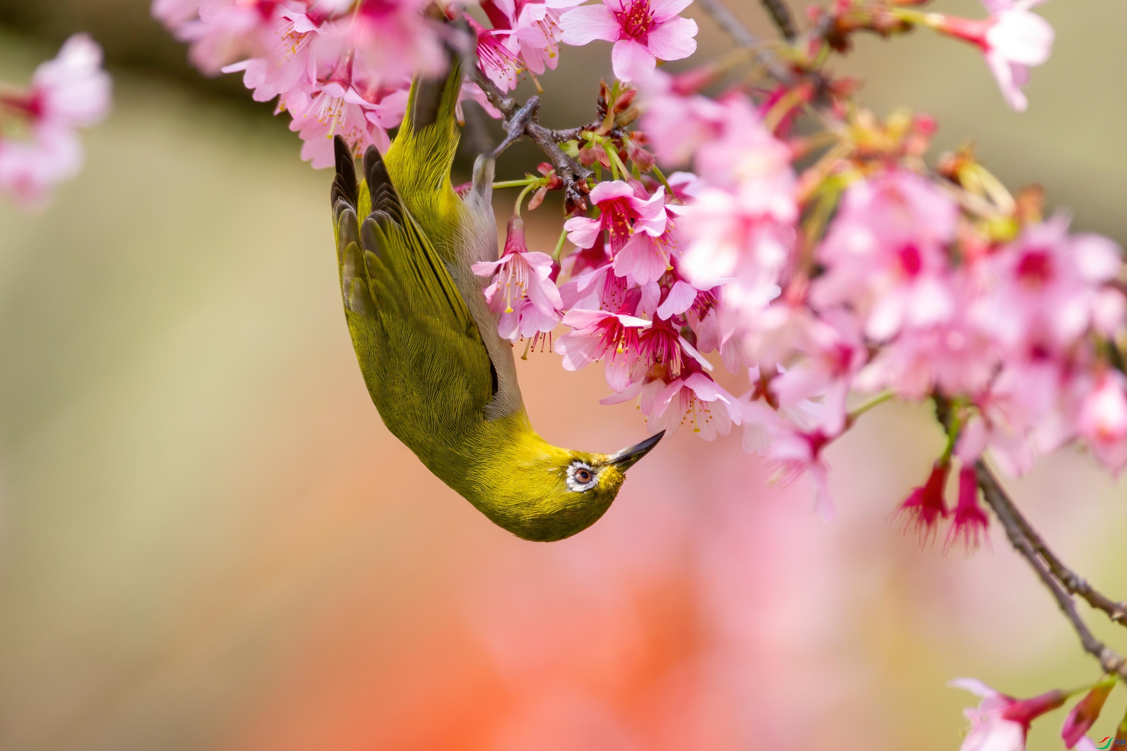 WXL_9155-��Ʒ ����.jpg