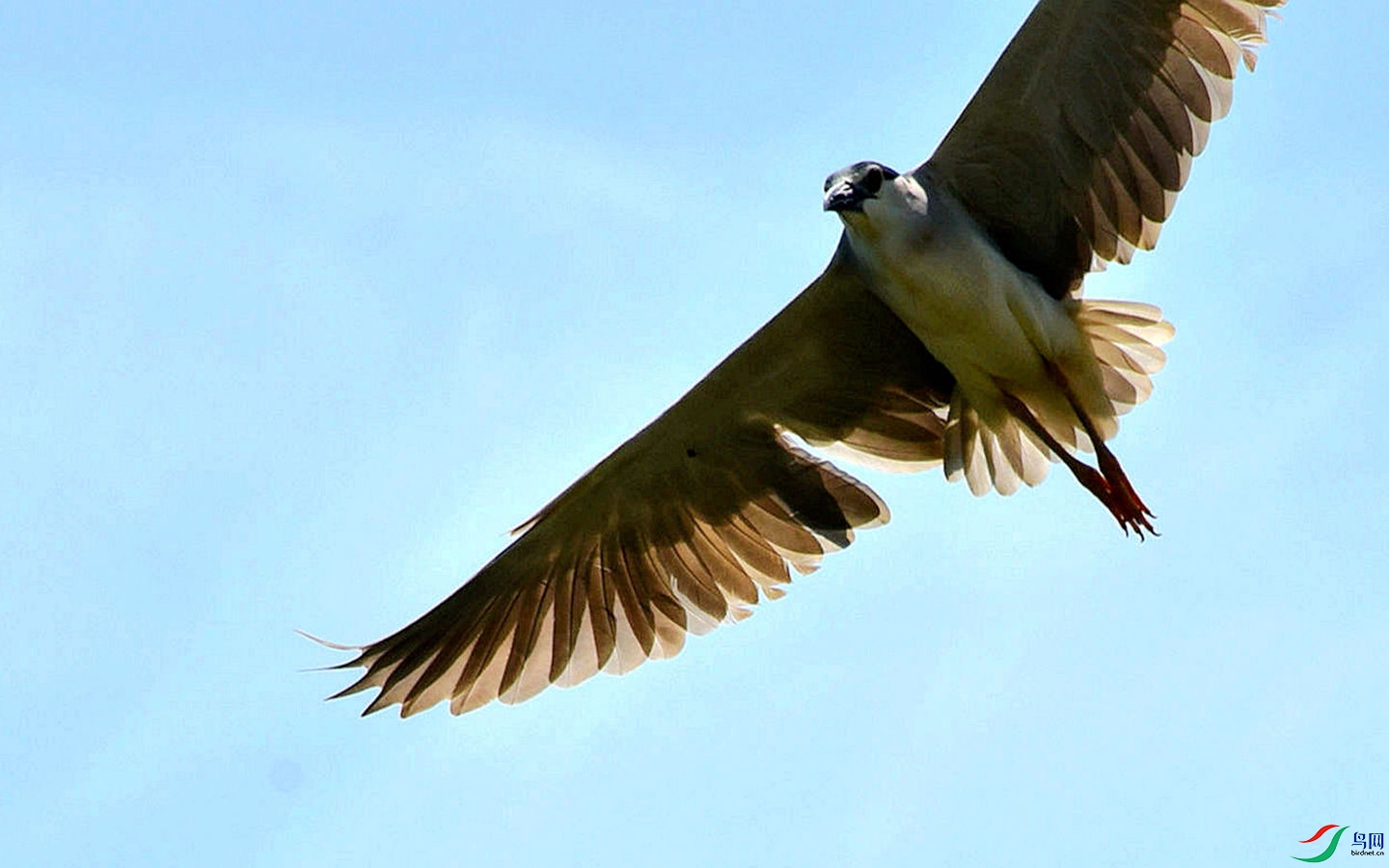 321 (112a)_����.jpg