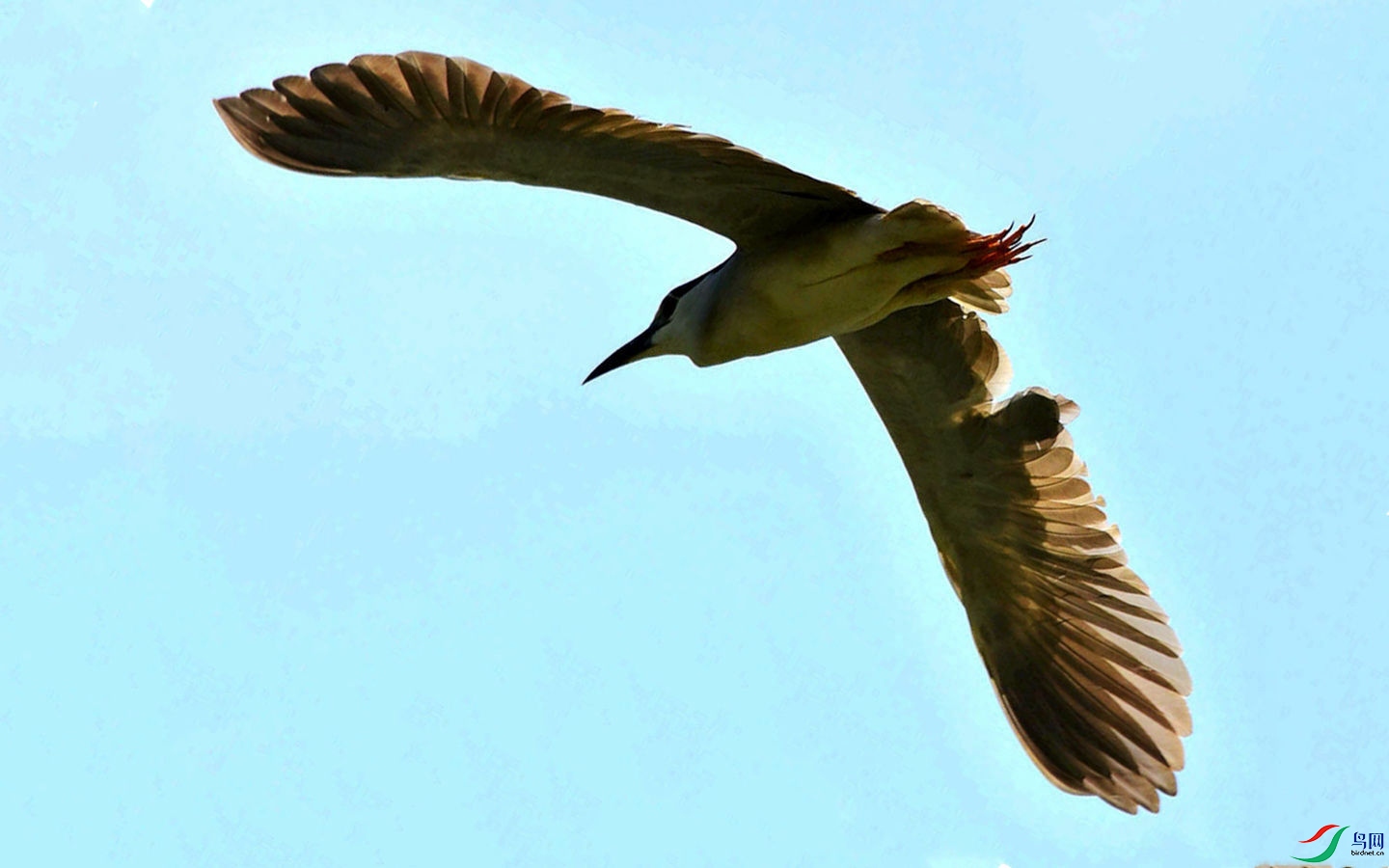 321 (113)_����_����_����.jpg