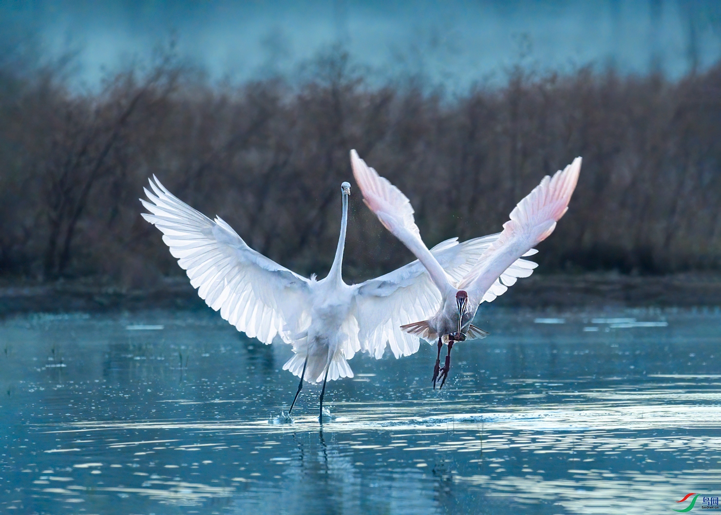 DSC_1696.jpg