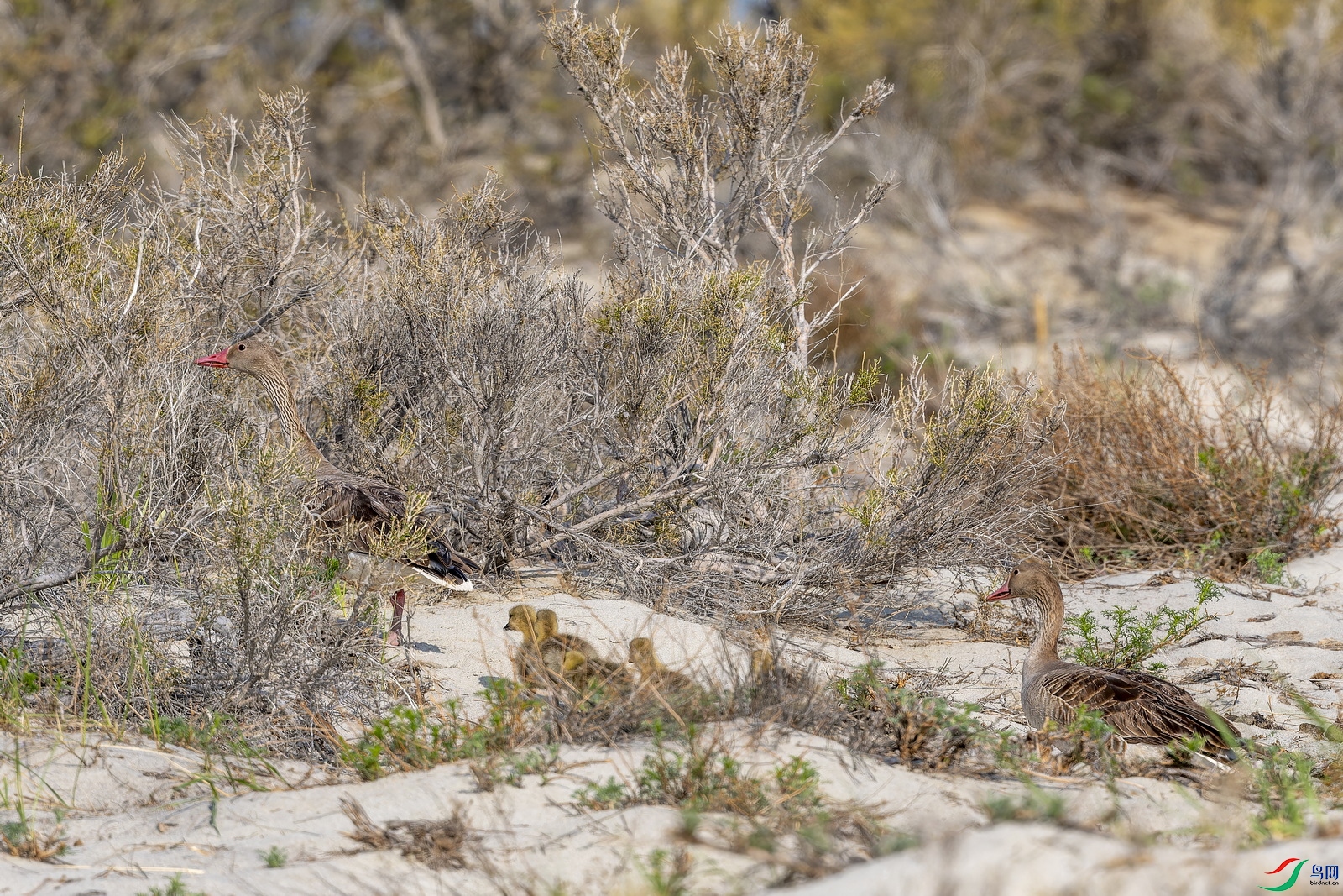 ���� (9)-1.jpg