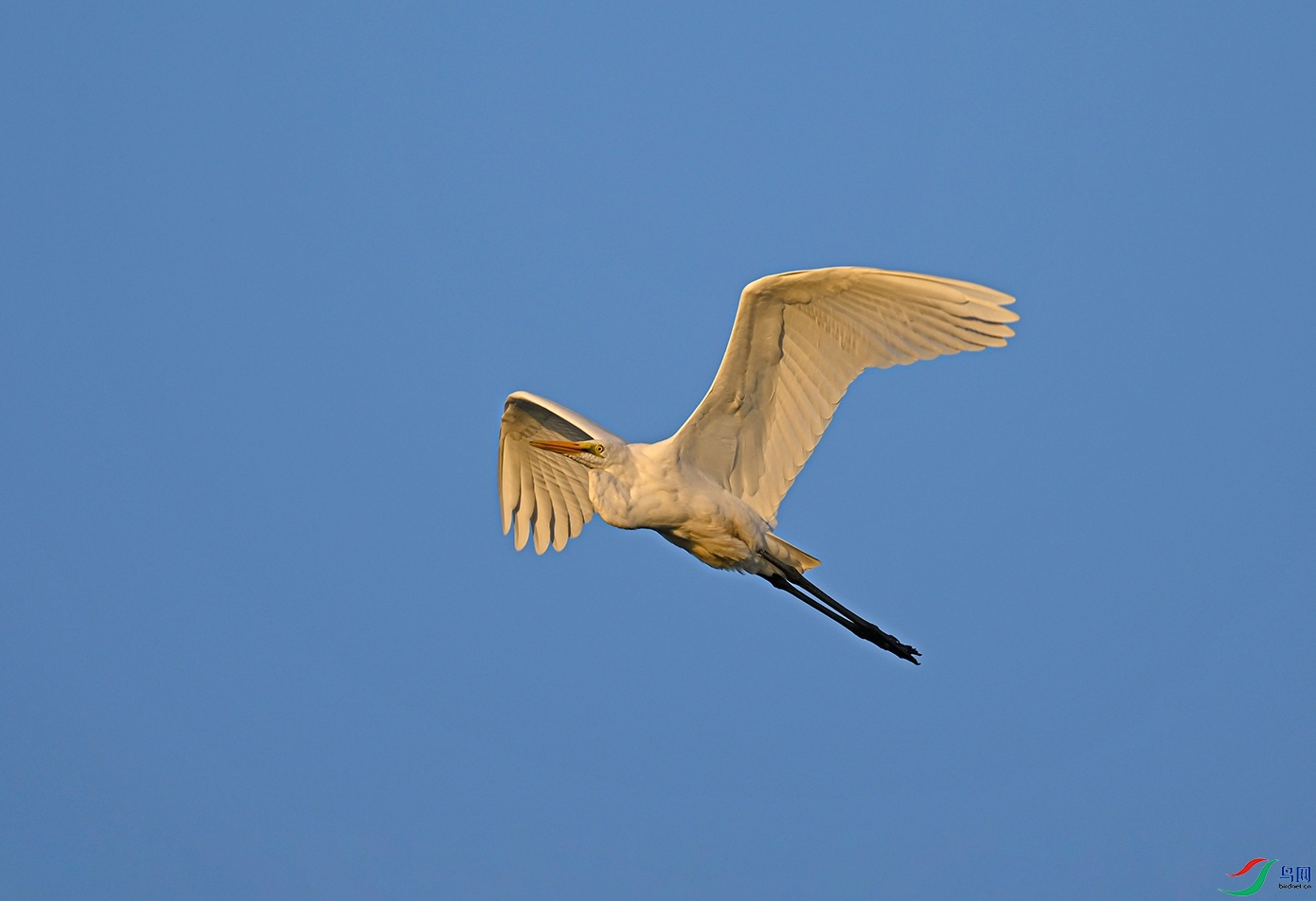 _DSC6985f.jpg