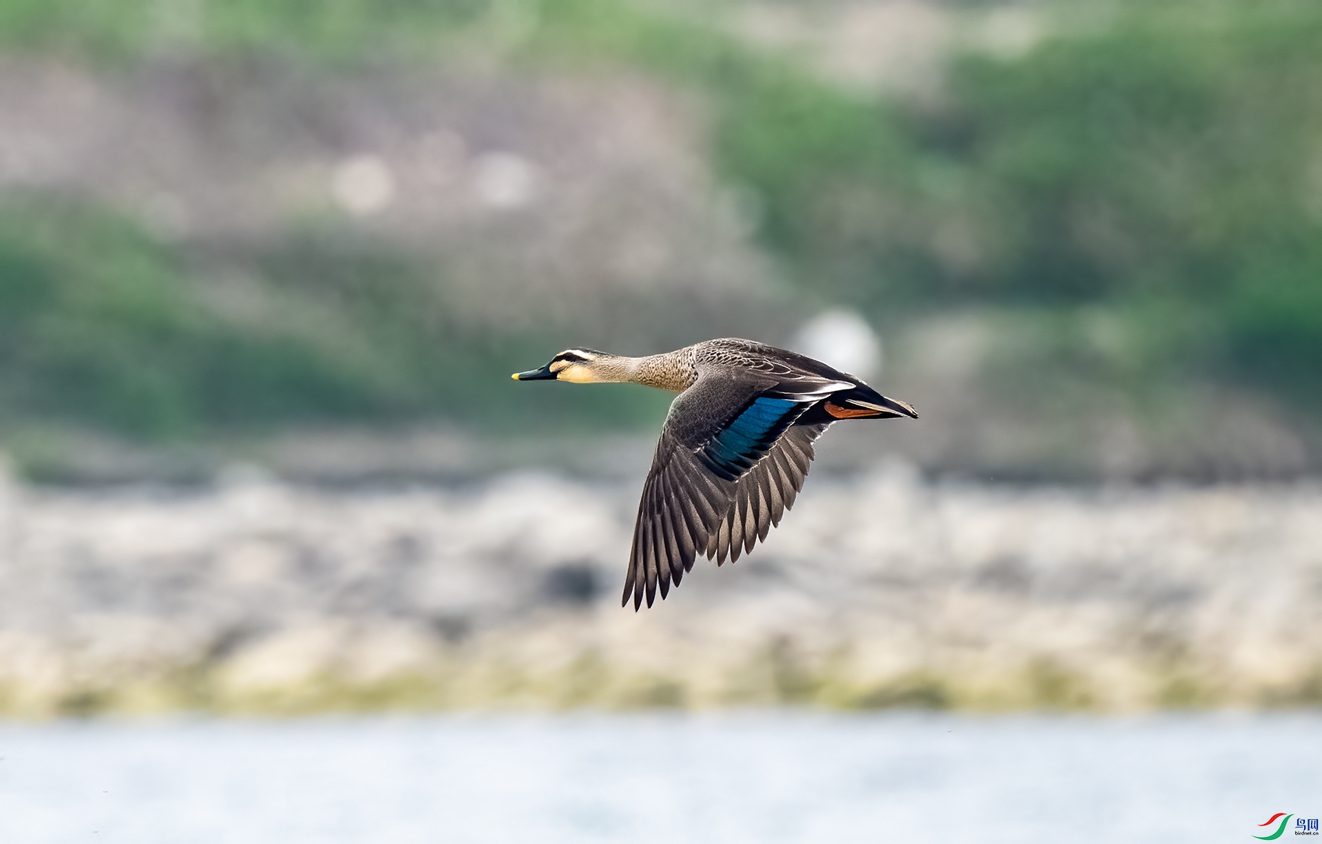 DSC_3628.jpg