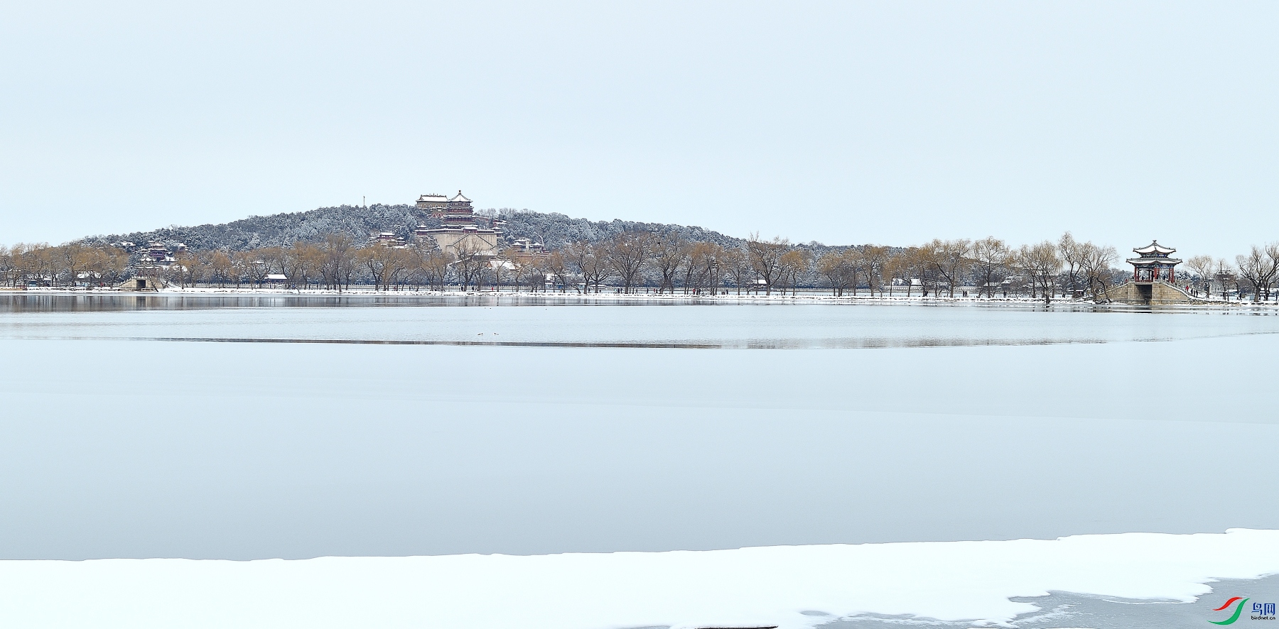 DSC_5831_01.JPG