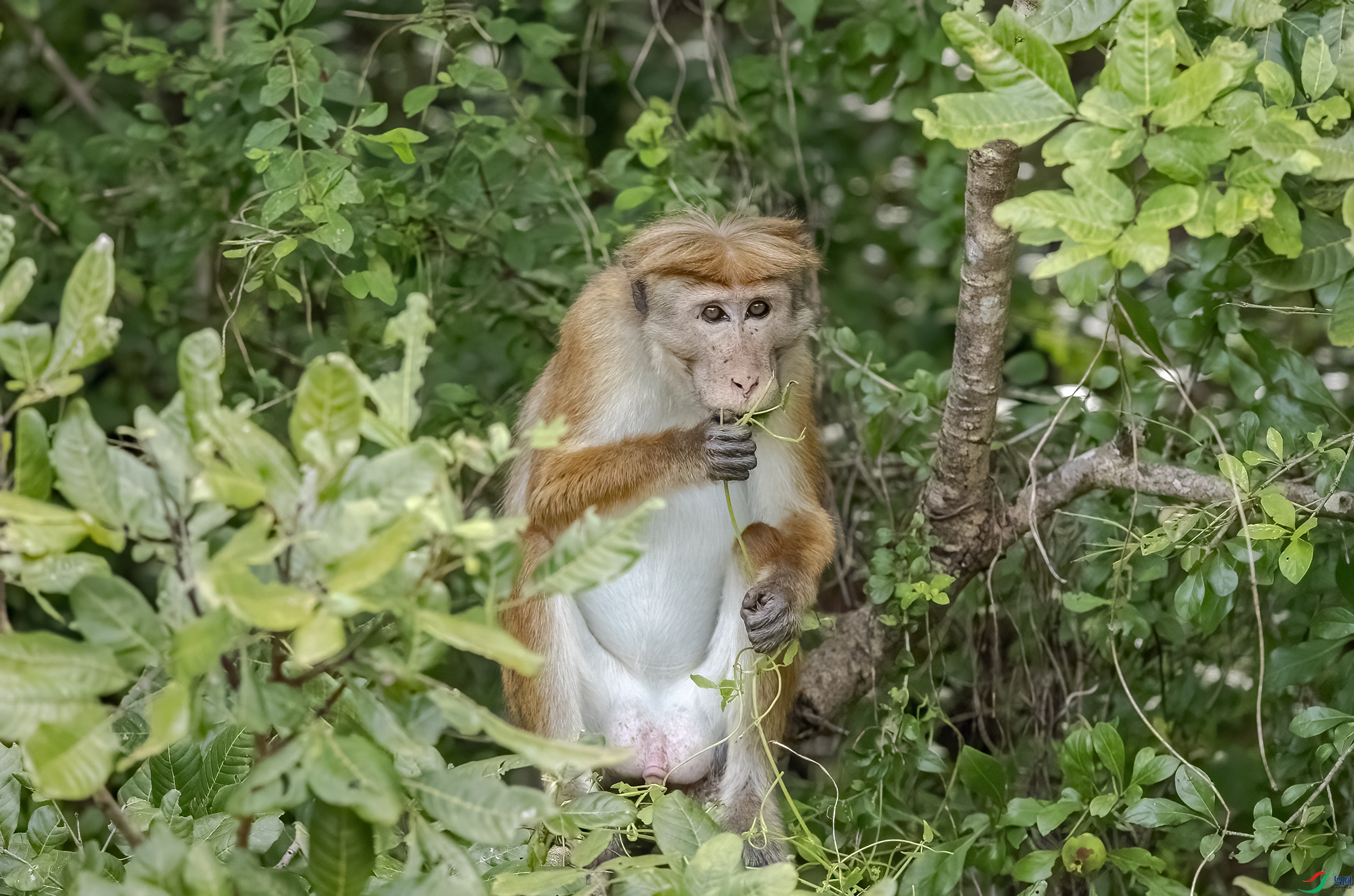 AC3I2353 ����.jpg