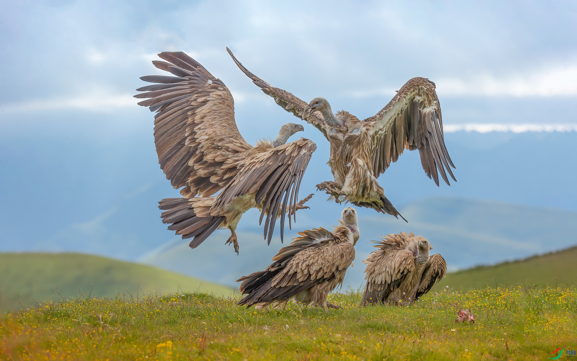 mmexport1641965711108.jpg