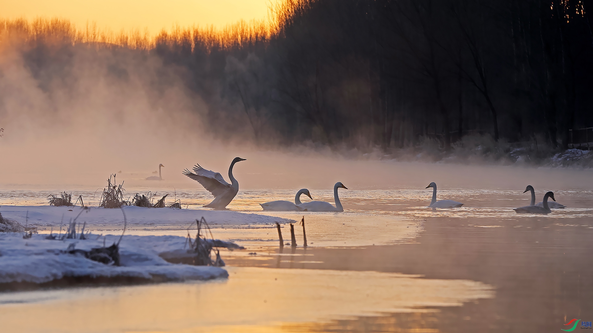�����0X5A25421.jpg