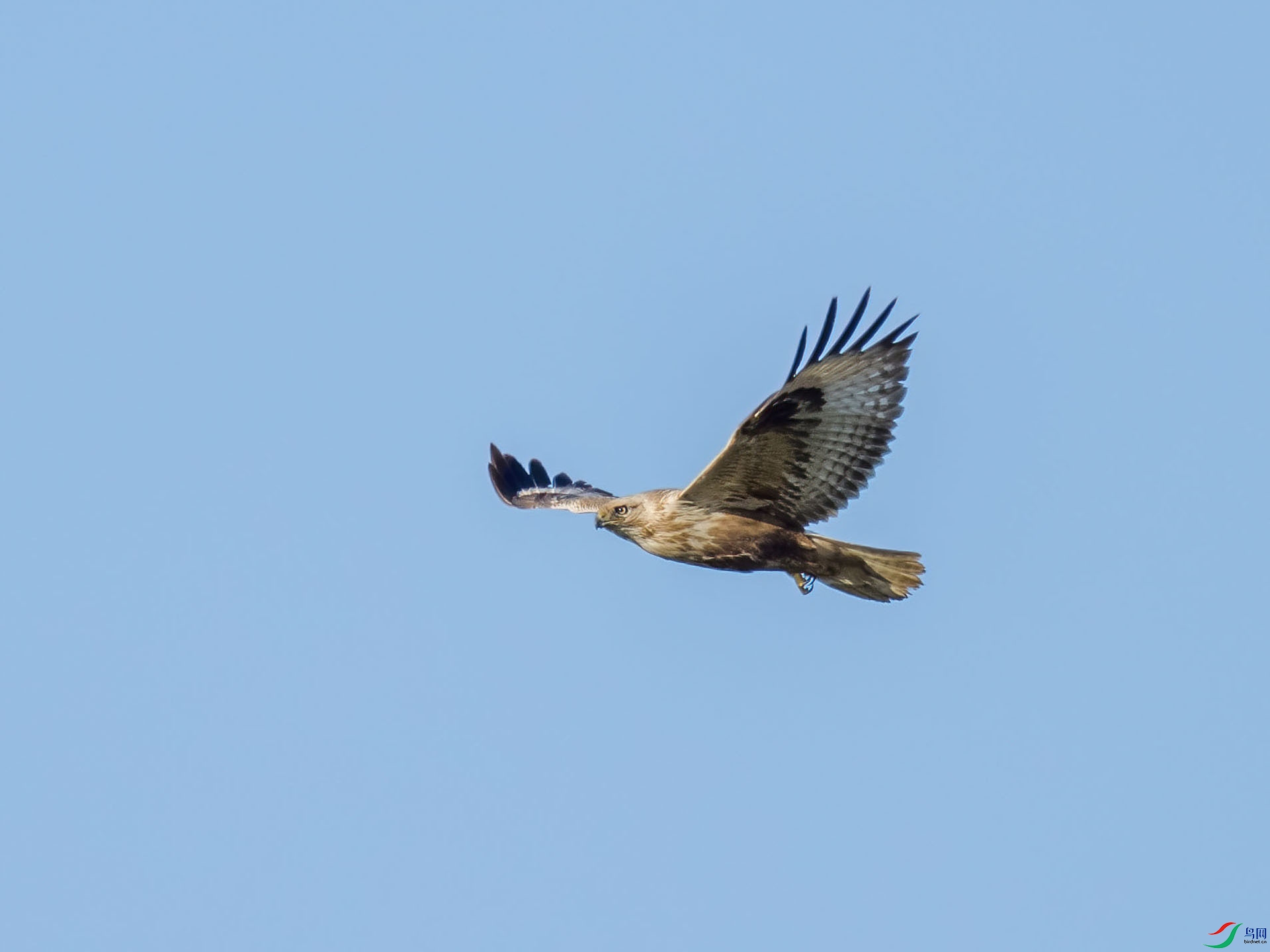 04 P2164917-DeNoiseAI-low-light.jpg