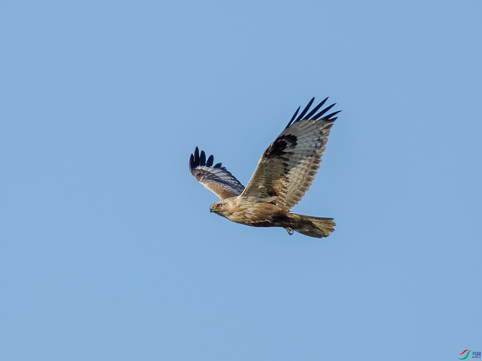 01 P2164915-DeNoiseAI-low-light.jpg