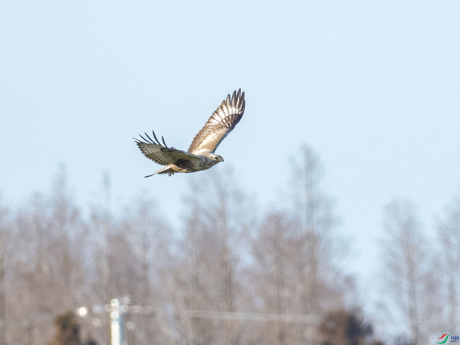 03 P2164799-DeNoiseAI-low-light.jpg