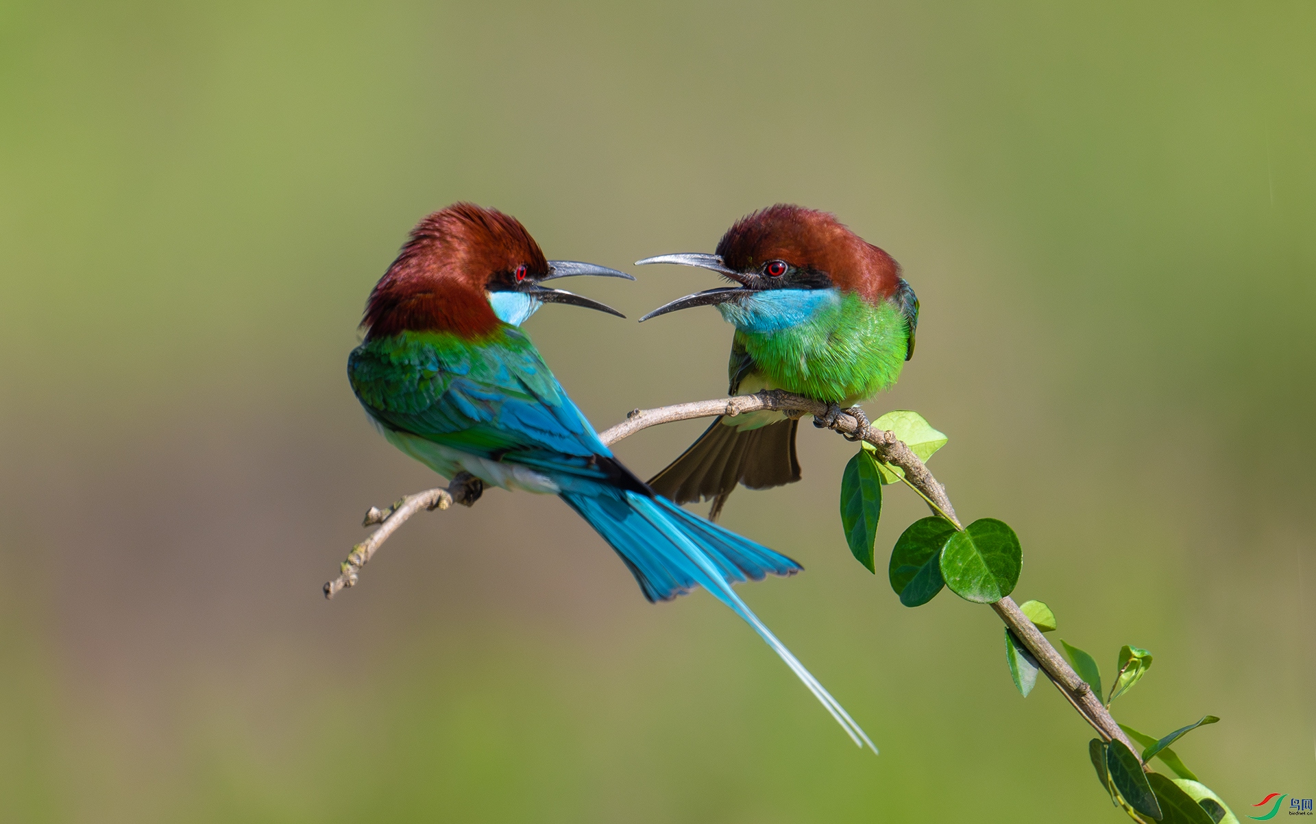 ����DSC_8623.jpg