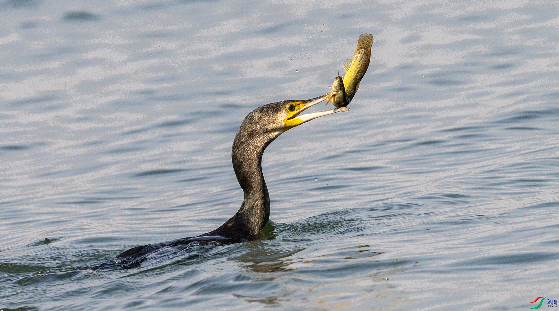 2636 ���� 2.jpg