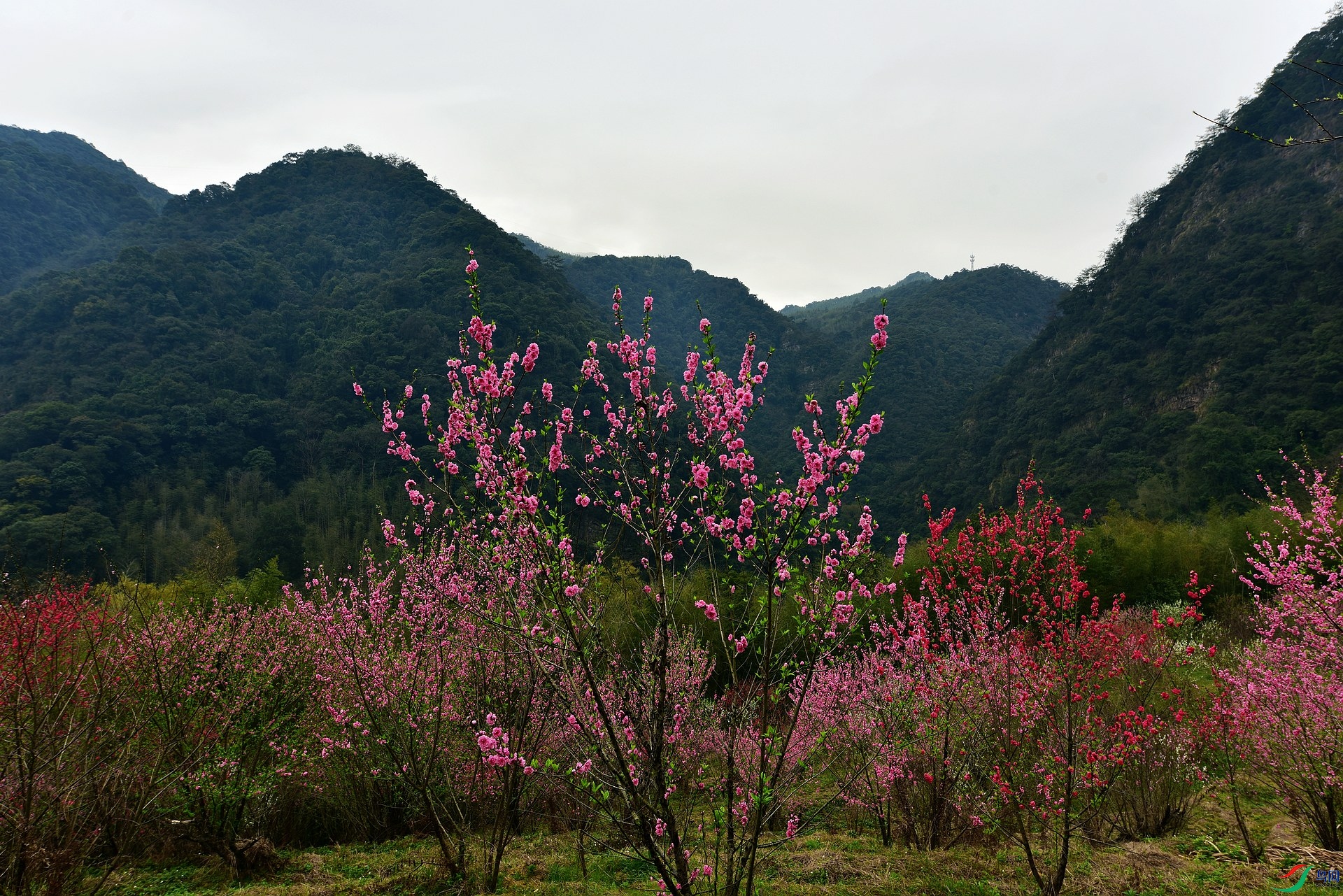D8I_1320.jpg