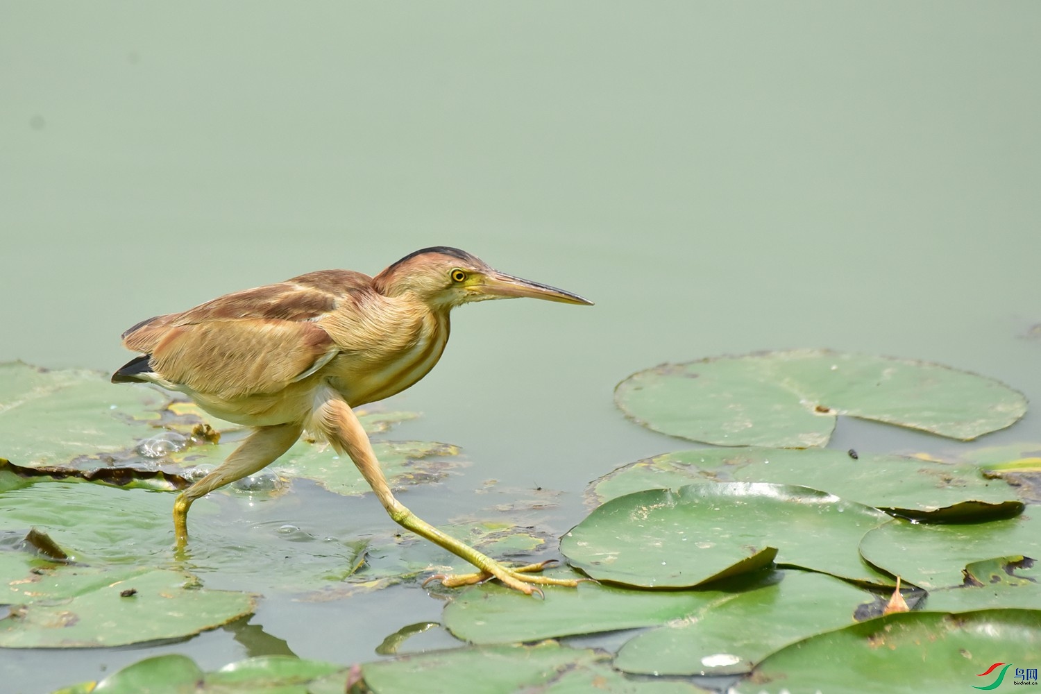 DSC_9367.JPG