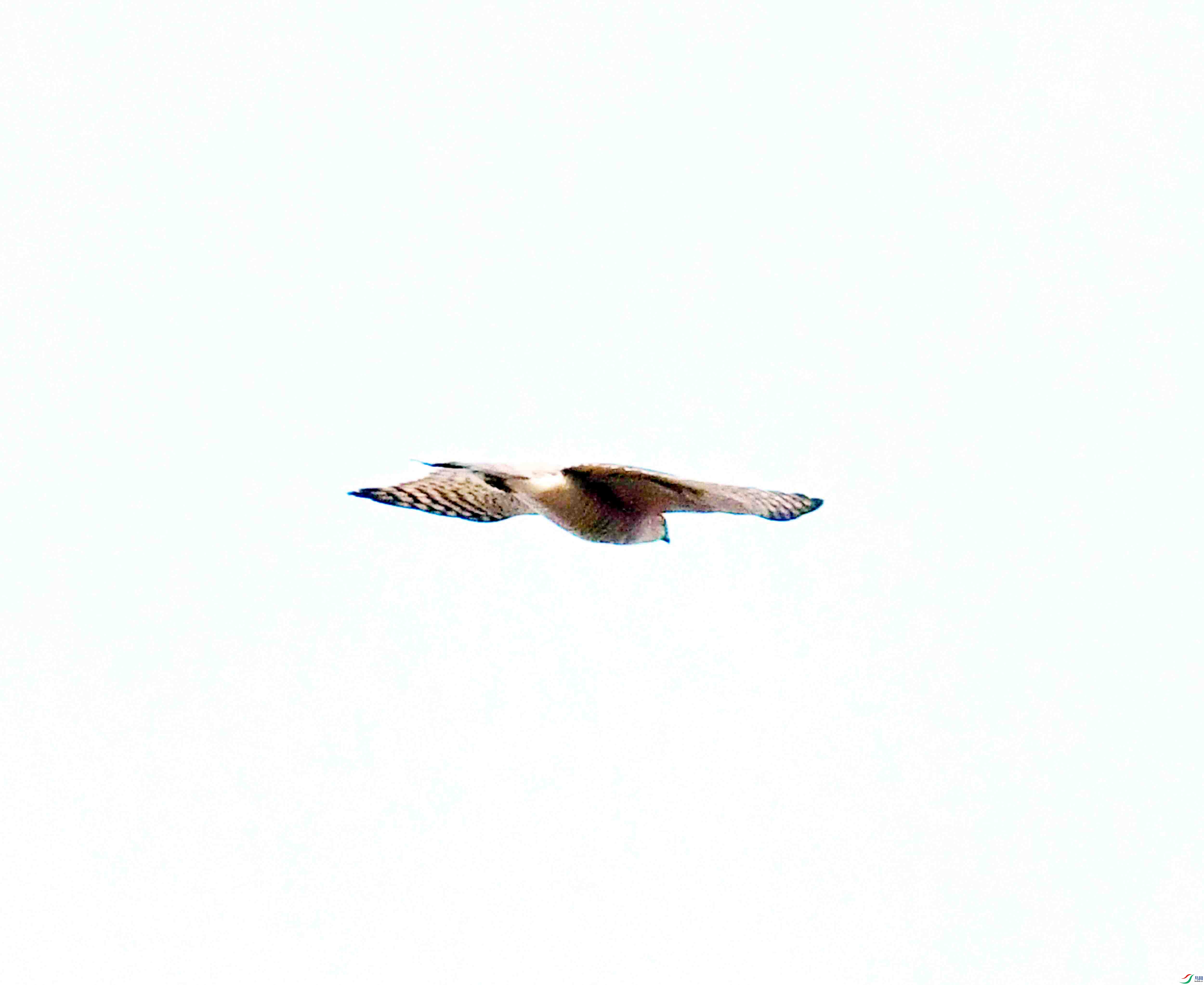 DSC_0701.JPG