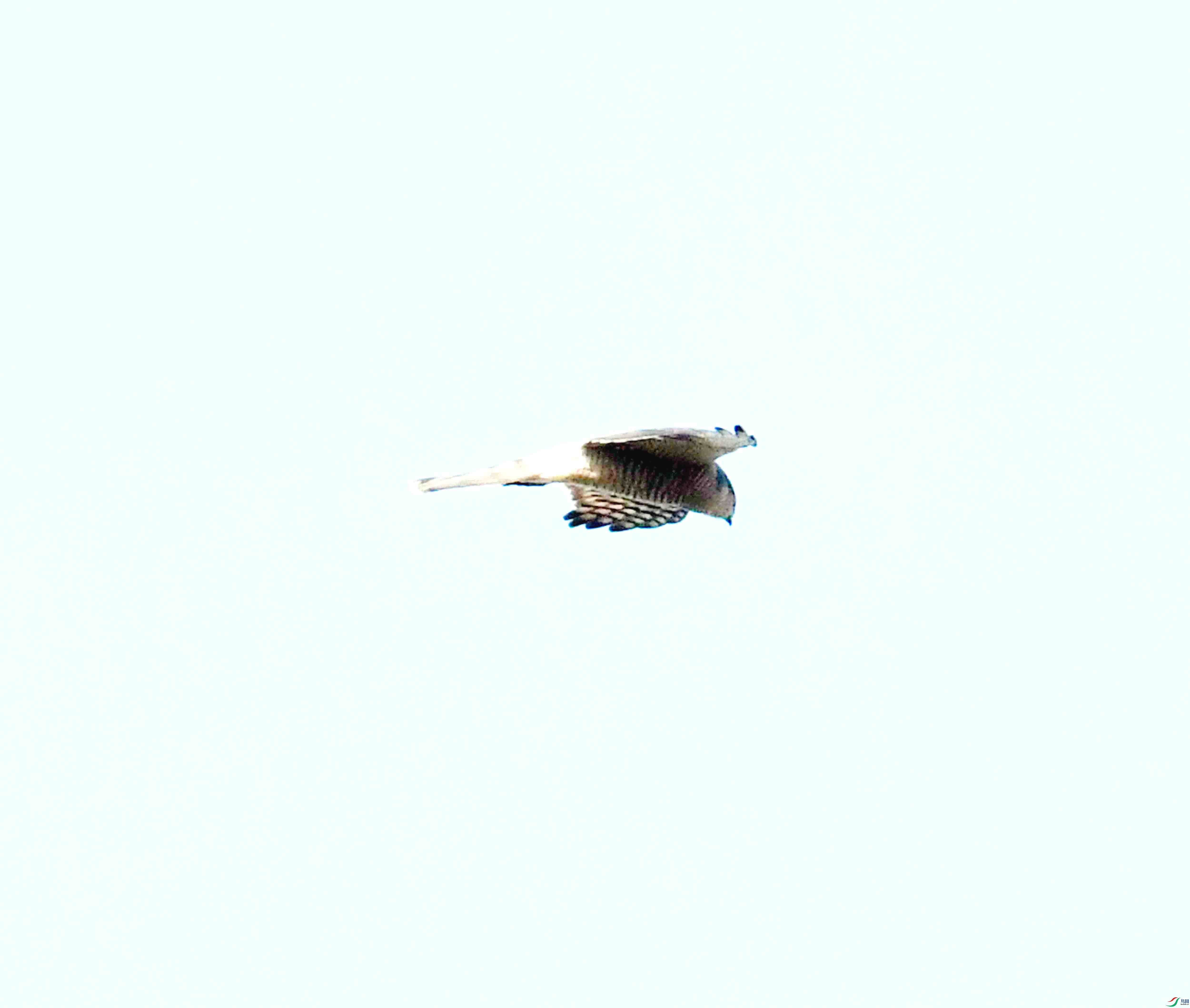 DSC_0703.JPG