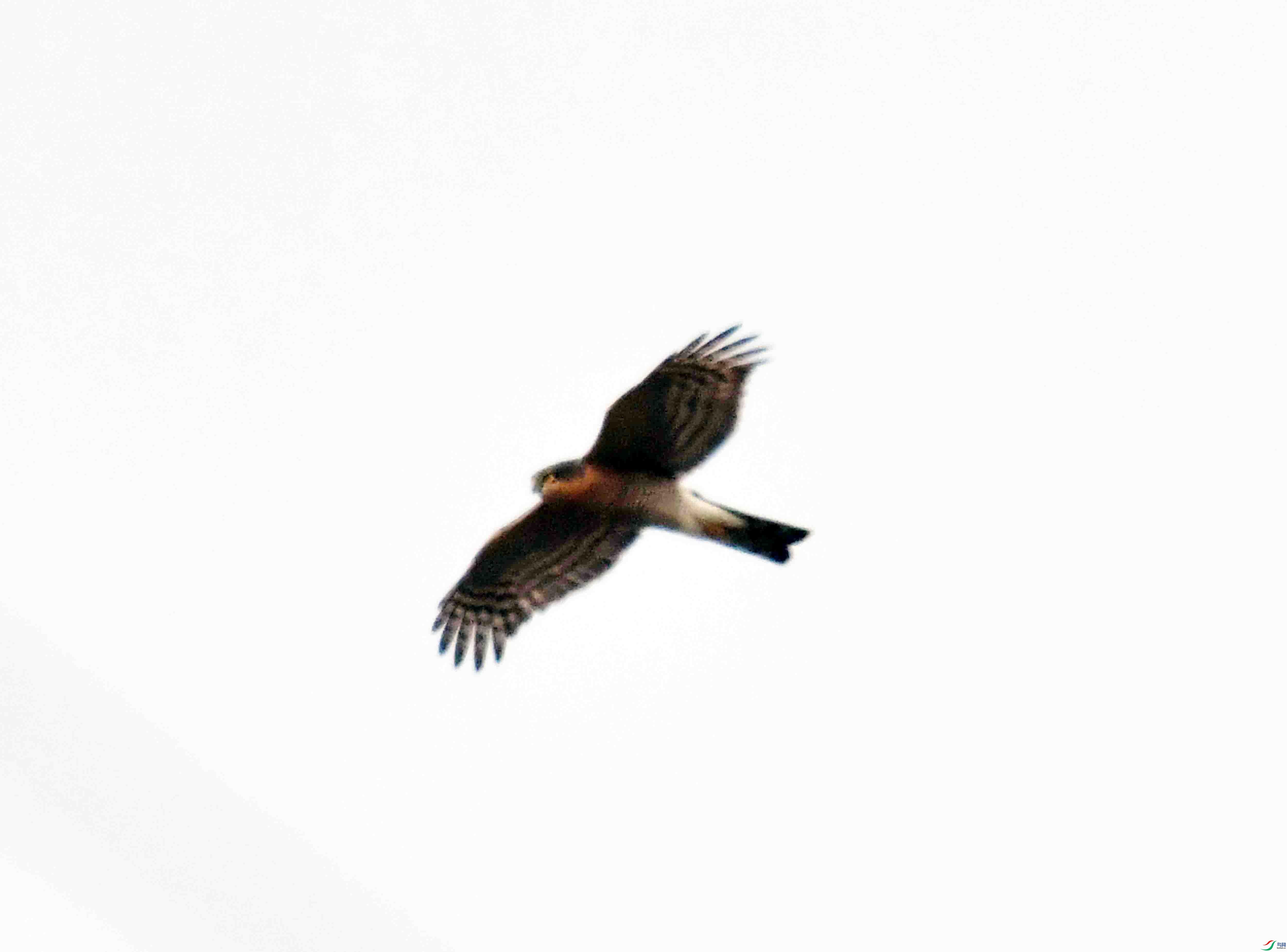 DSC_7893.JPG