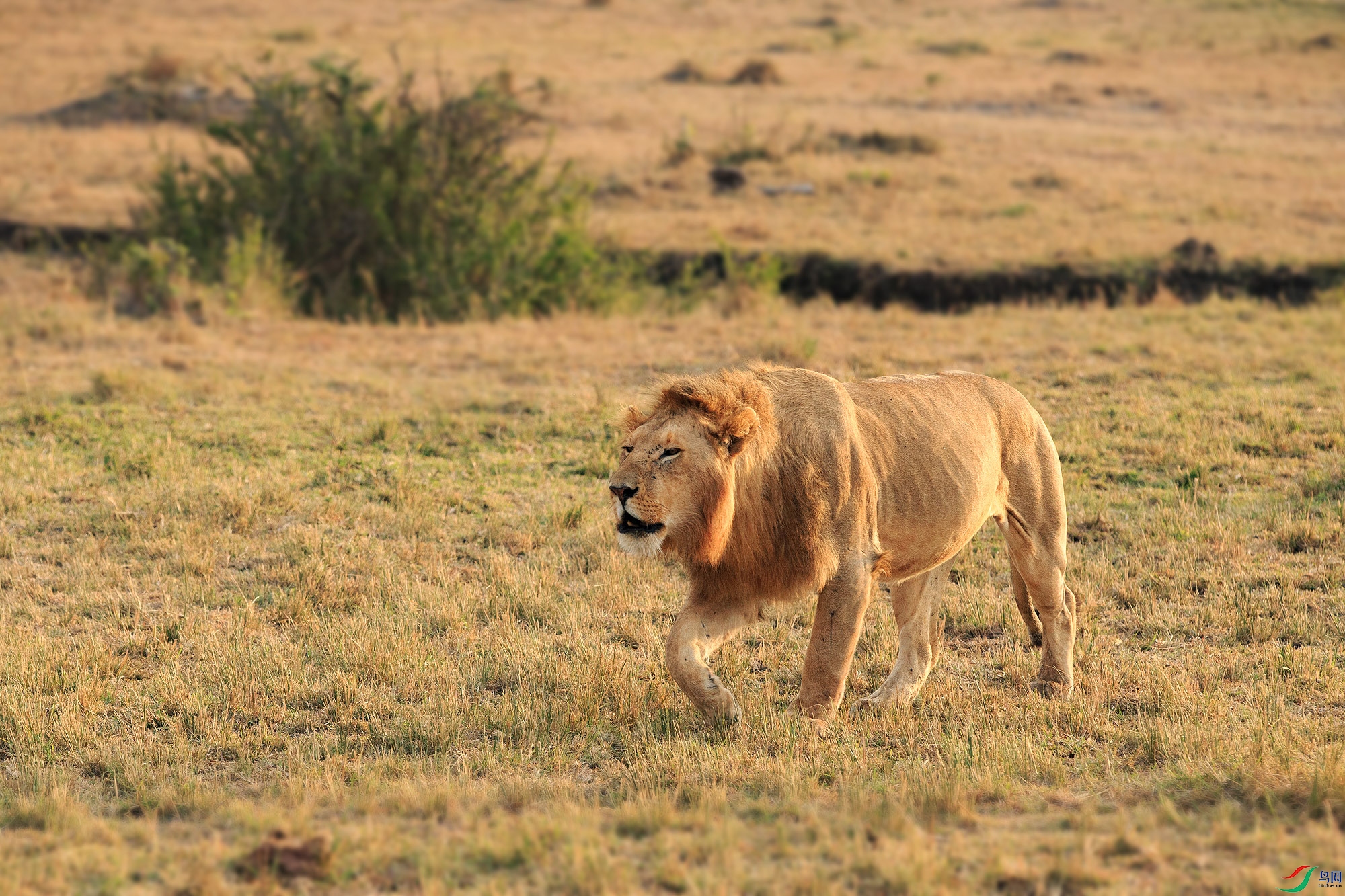 A68O6792 ����.jpg