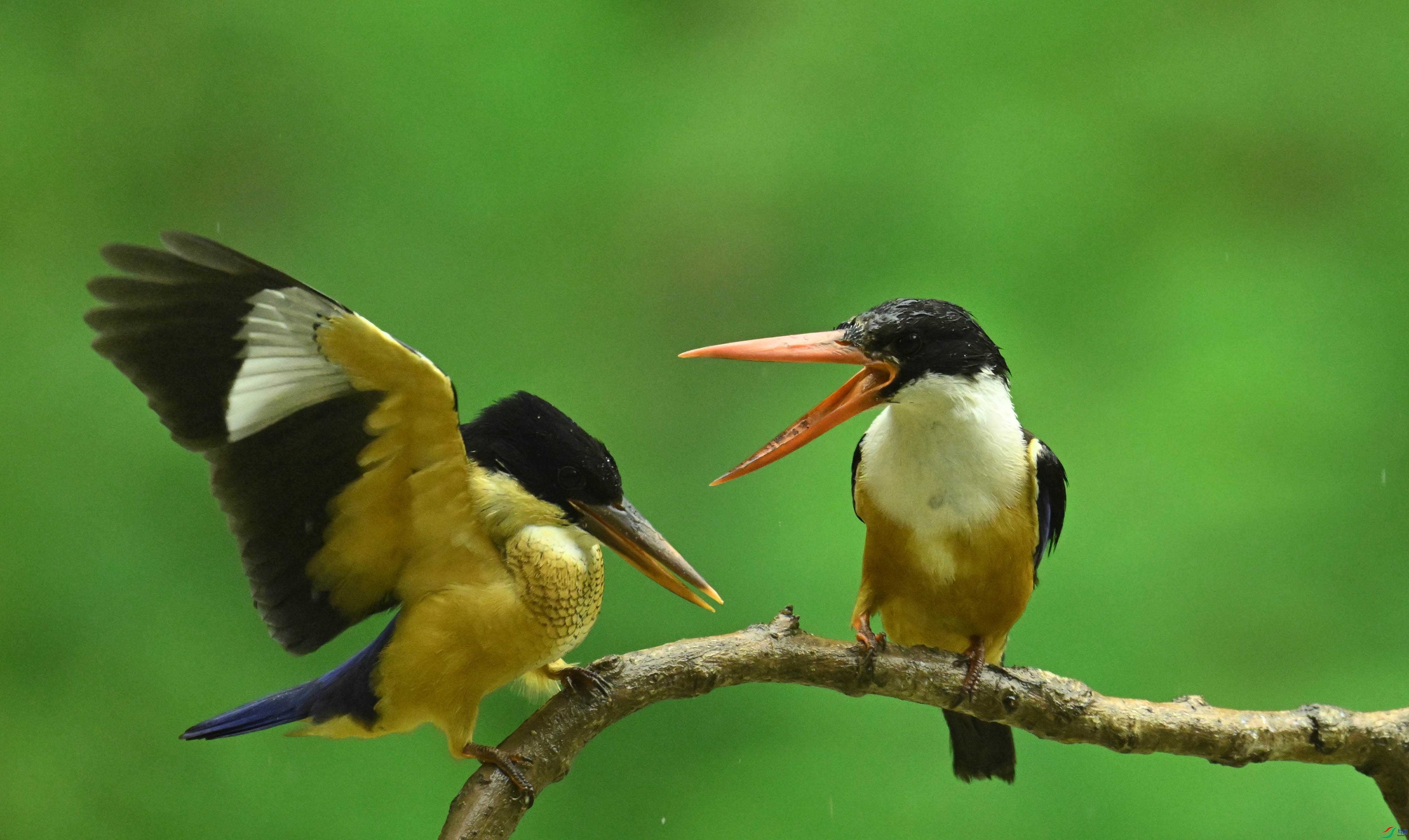 DSC_5348 ����.jpg