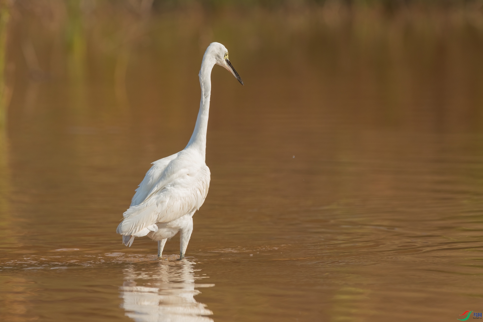 B86I6498 _����.jpg