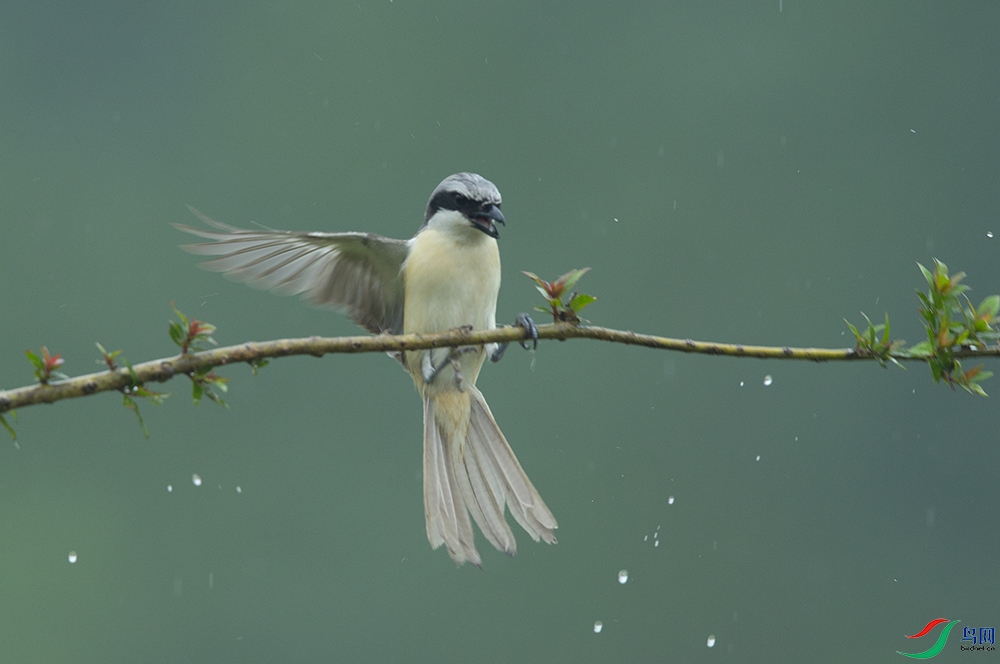 ��β�������� (3).jpg