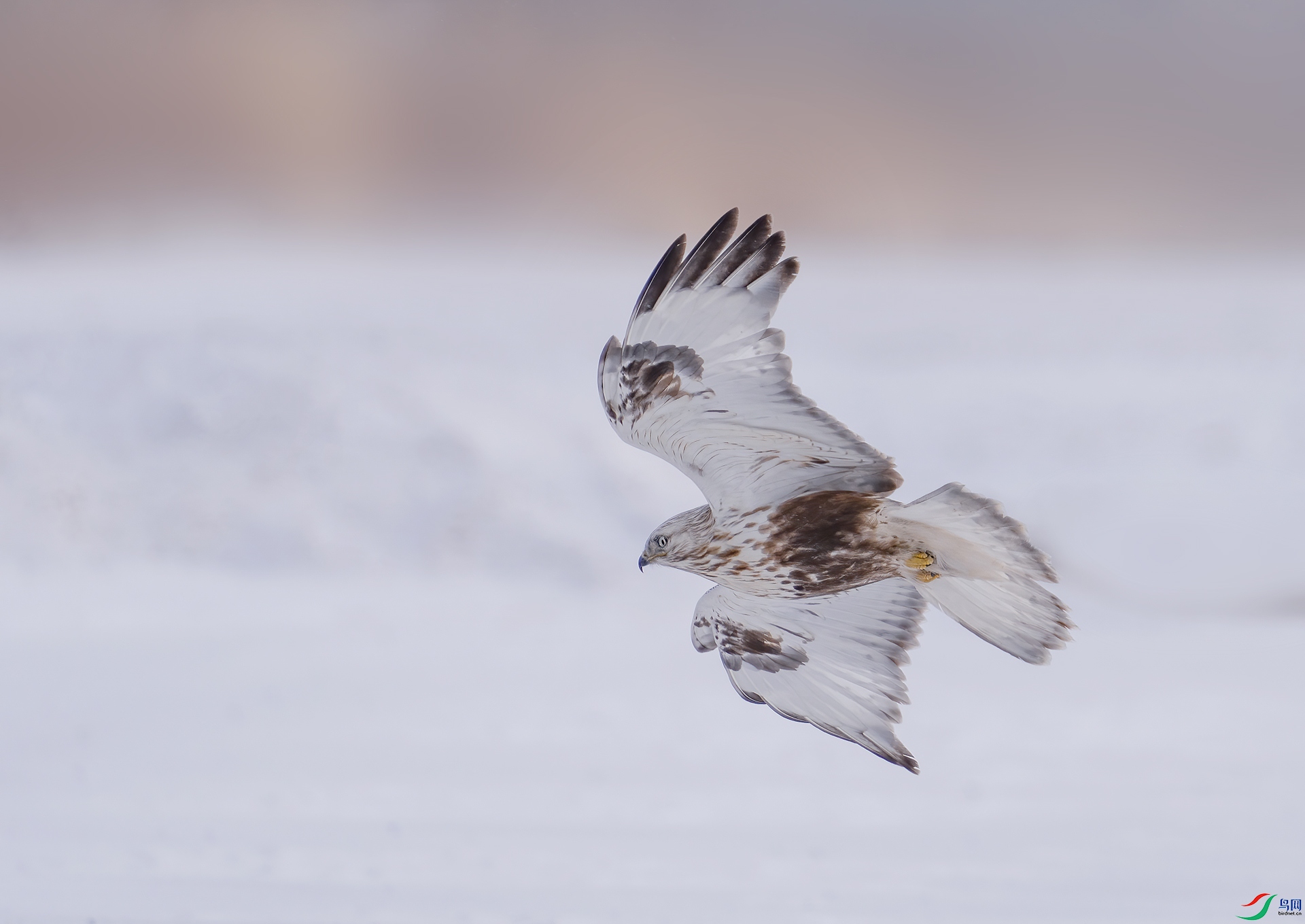 DSC09271 ���� 2.jpg