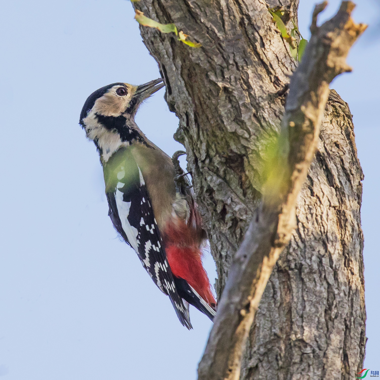 _90I5263 ����.jpg