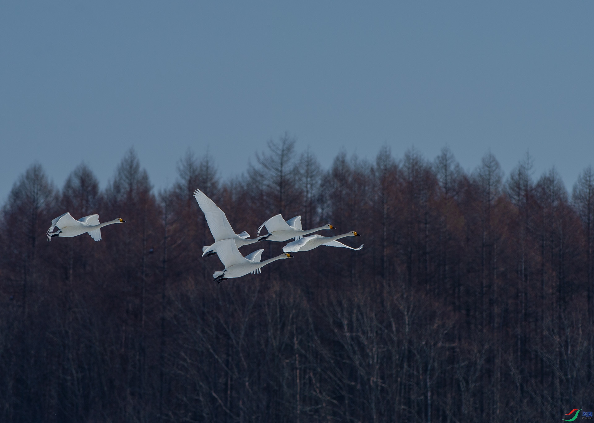 ��DSC_1389.jpg