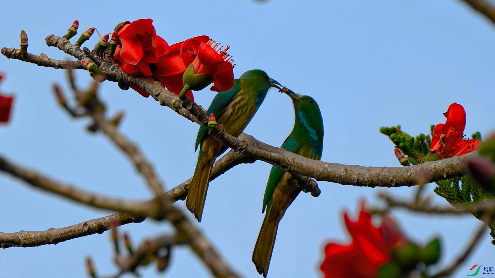 ���� 01.-100.jpg