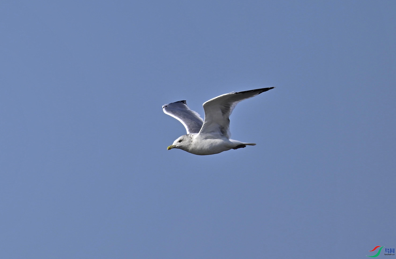 _DSC8409f.jpg