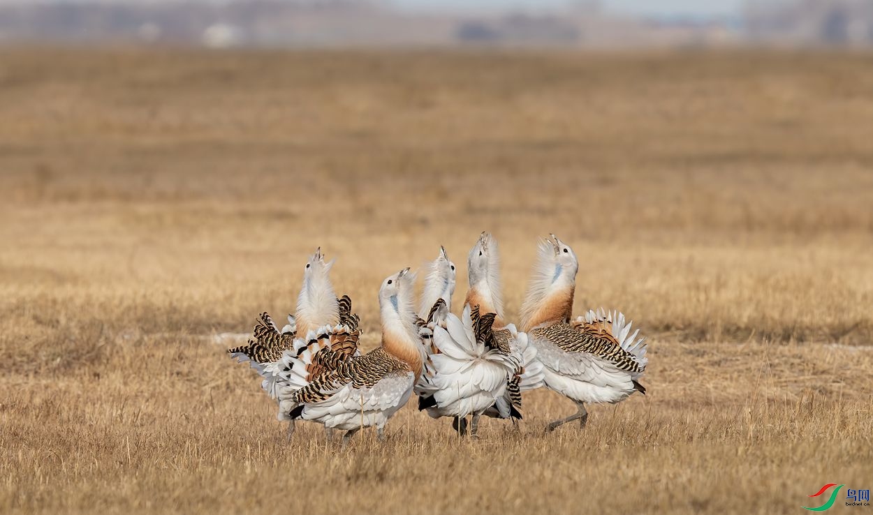 AC3I6897 ����_����.jpg