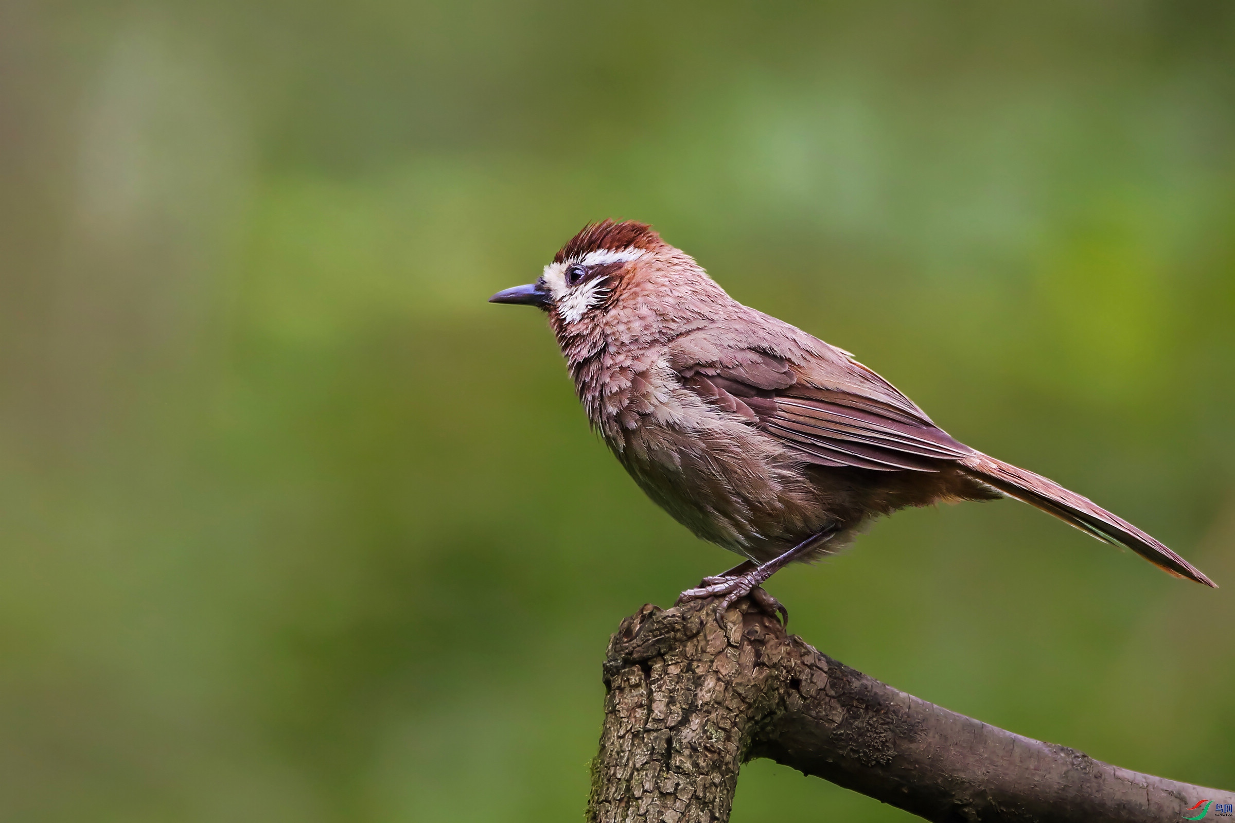 TX0A0769-topaz-enhance-1.7x.jpg