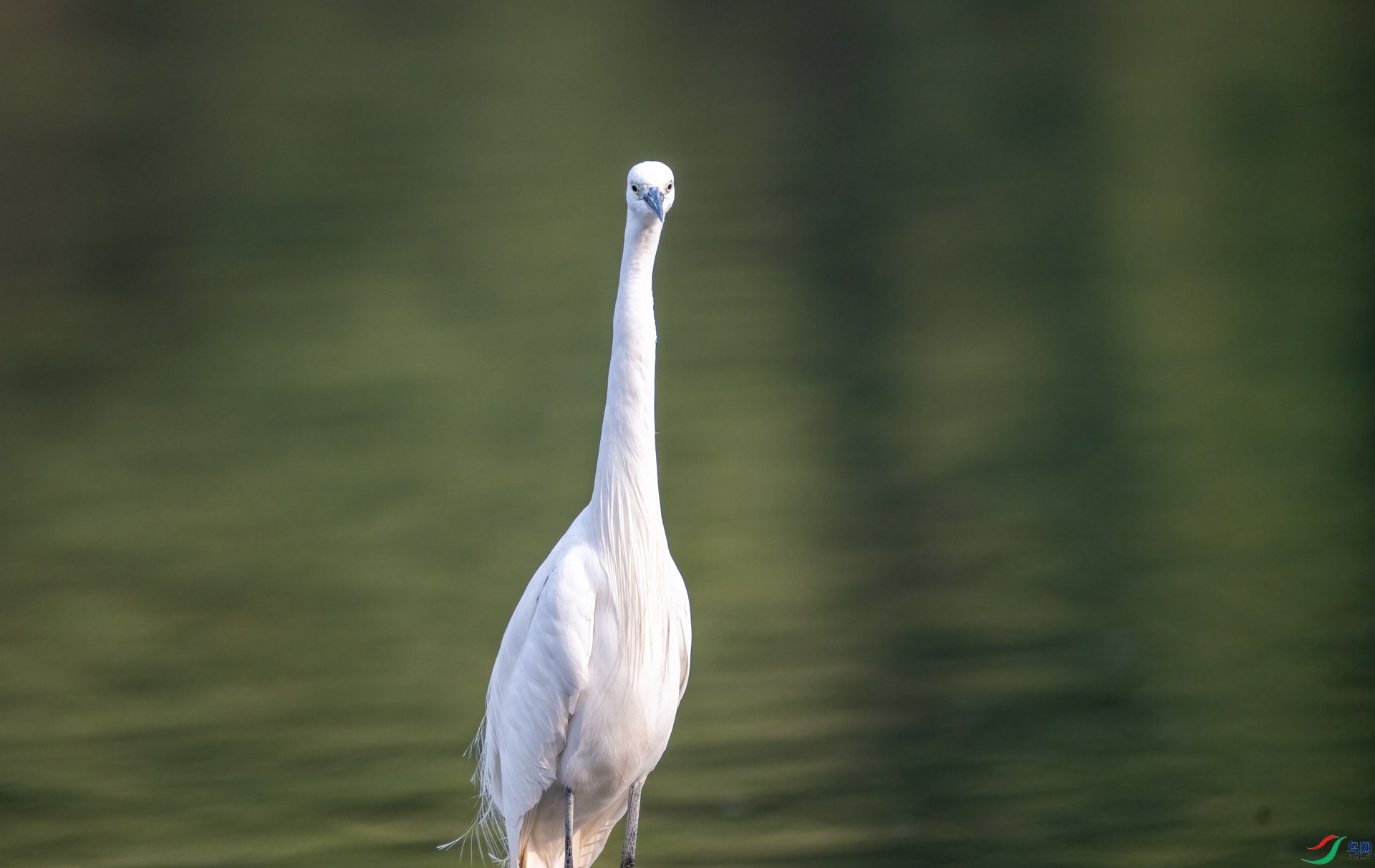 DSC_3667.jpg