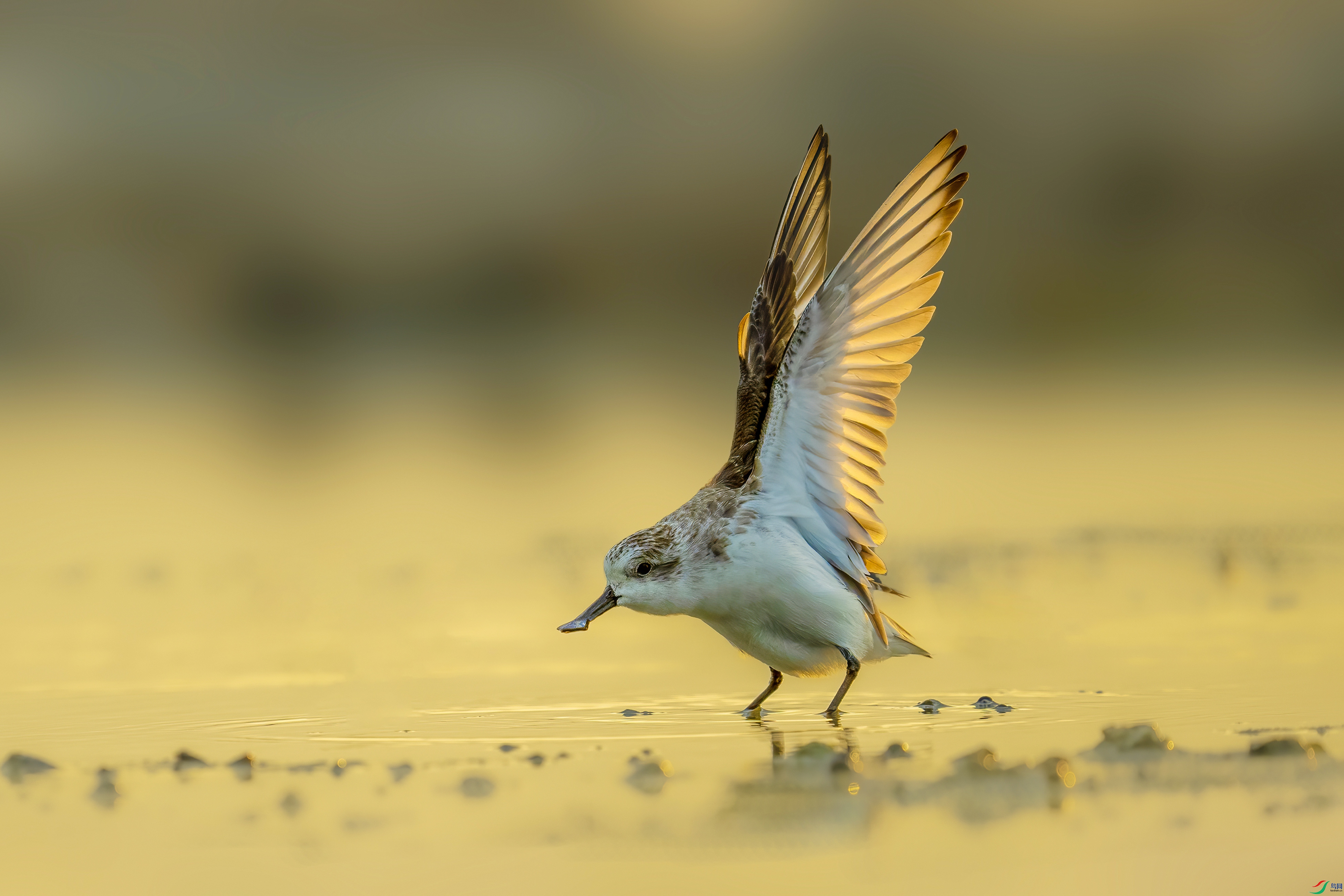 DSC01210 ���� 2.jpg