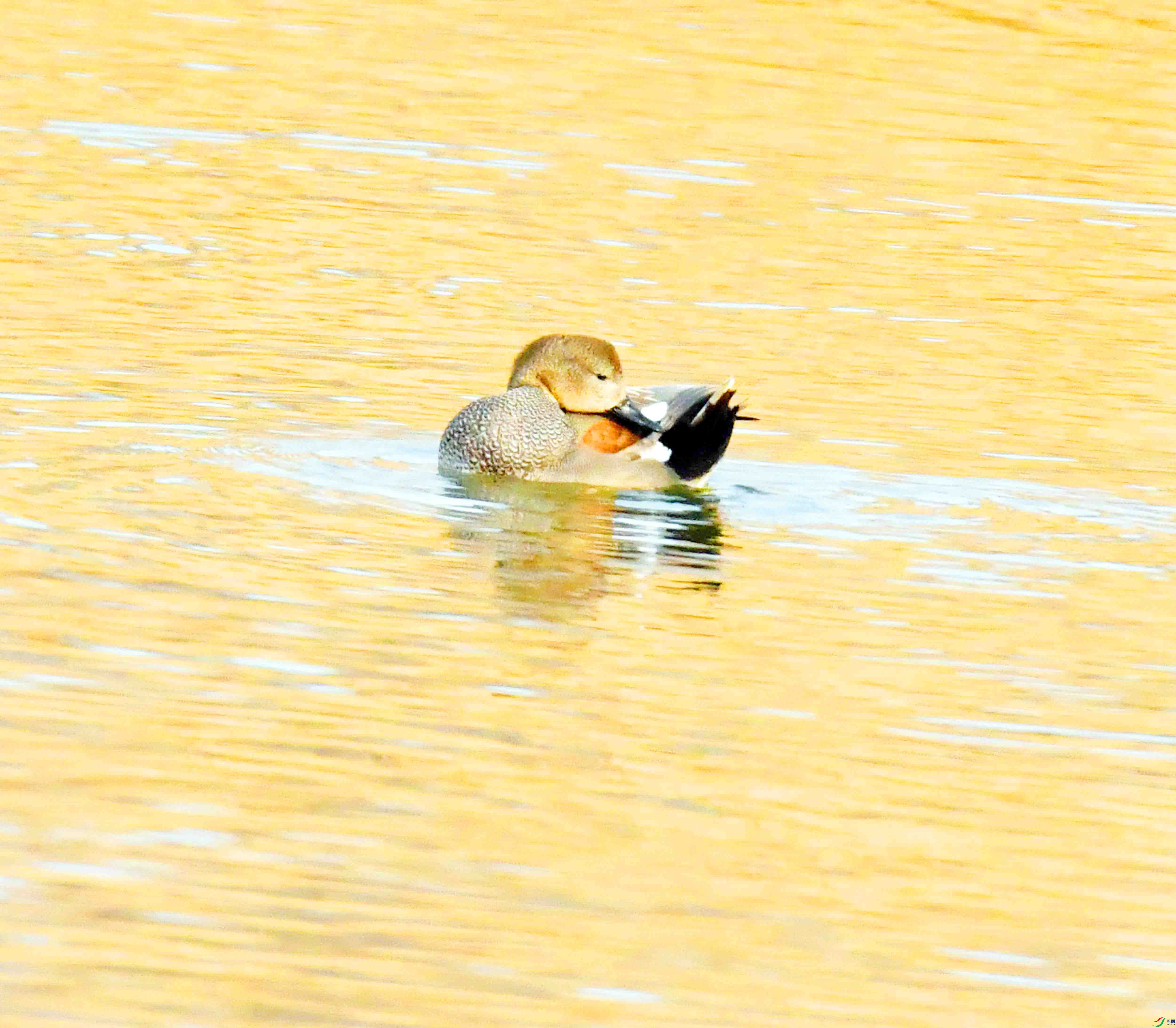 DSC_2186.JPG