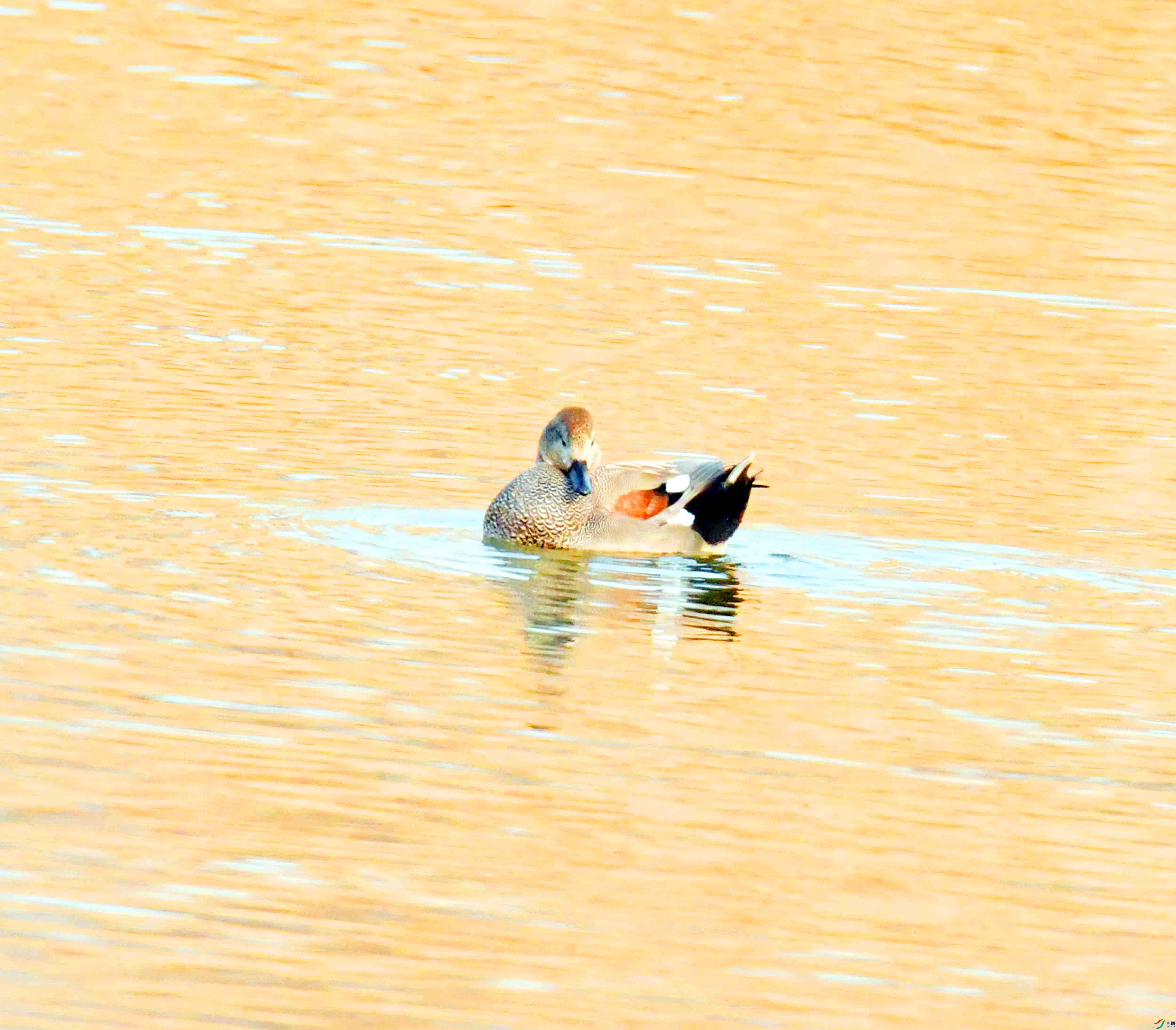 DSC_2187.JPG