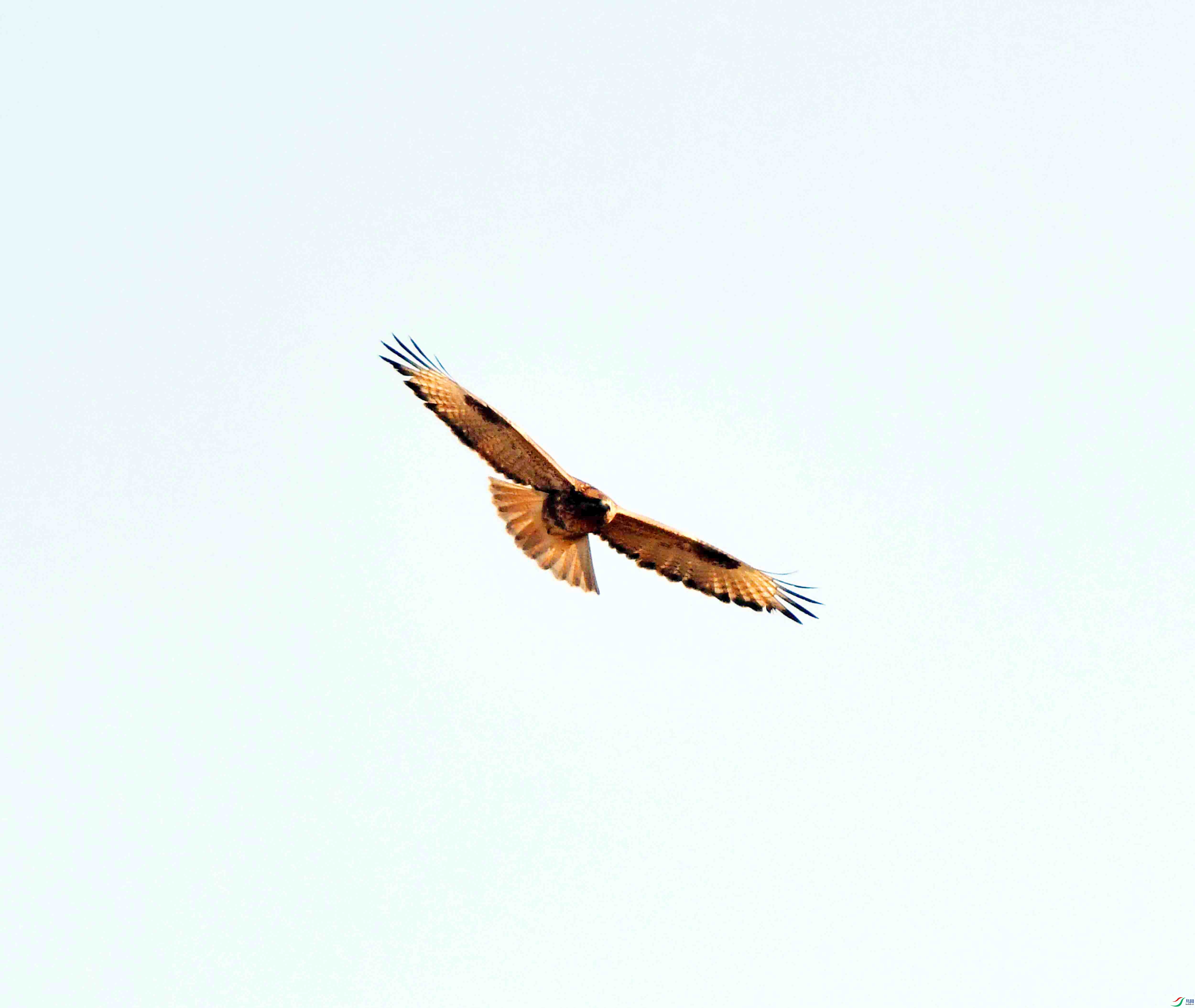 DSC_3119.JPG