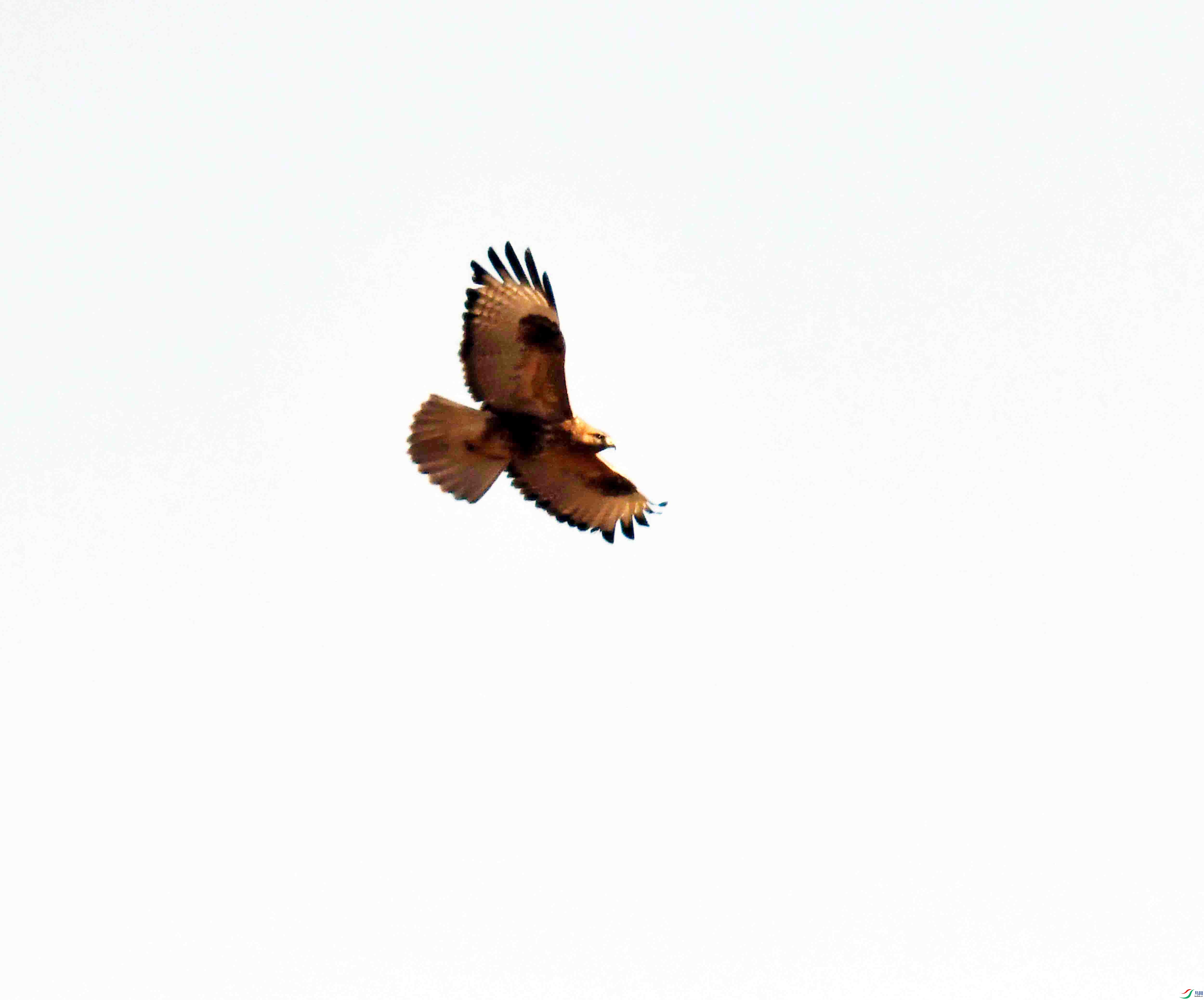 DSC_3120.JPG