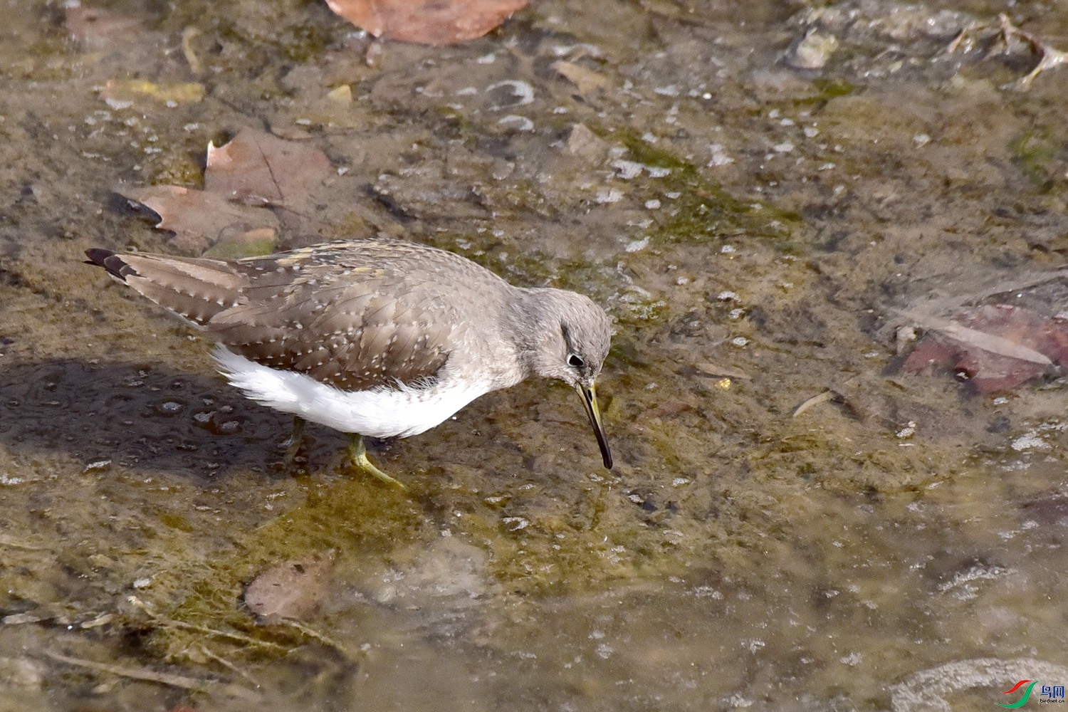 DSC_3973.JPG