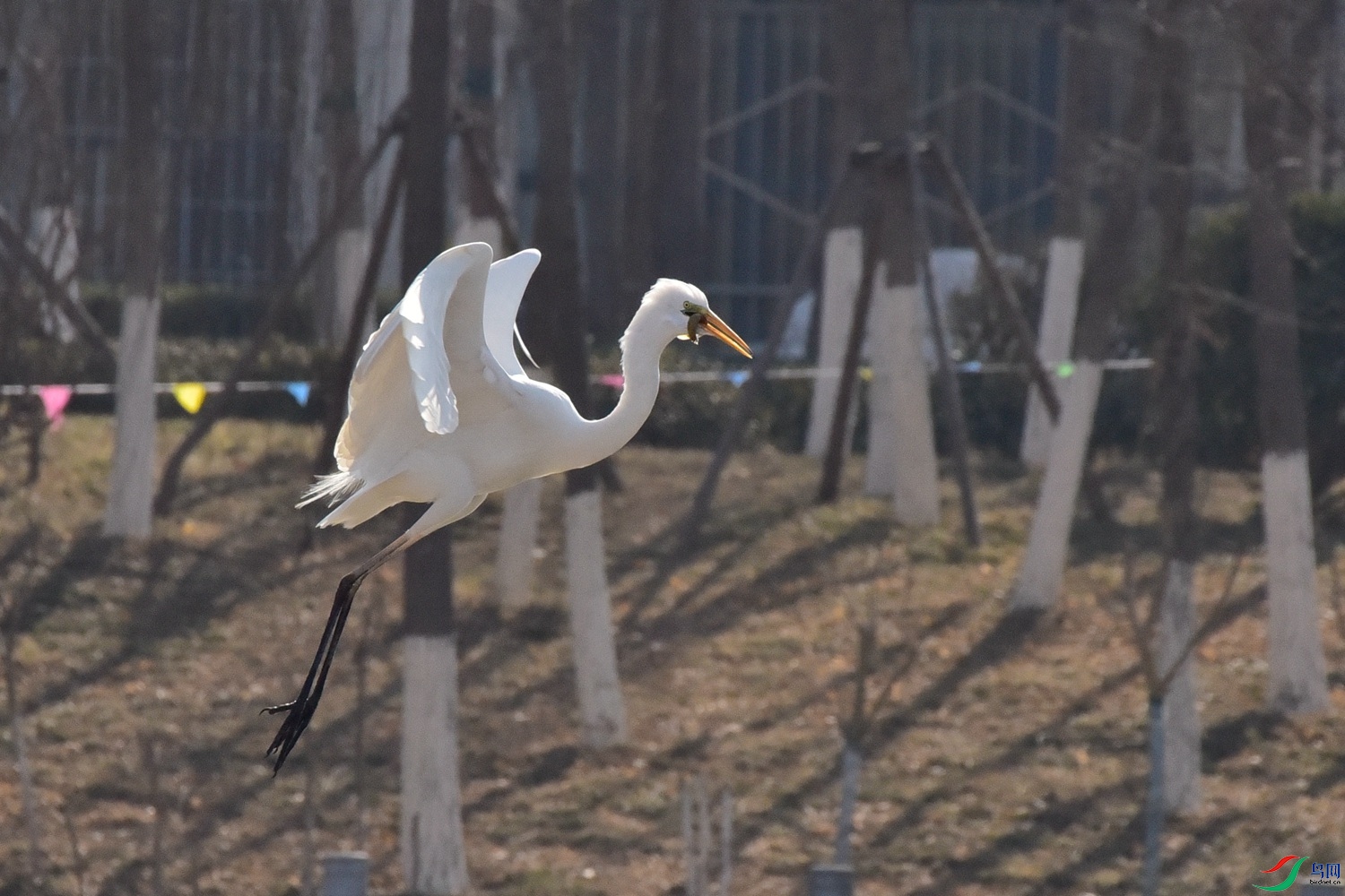 DSC_5668.JPG