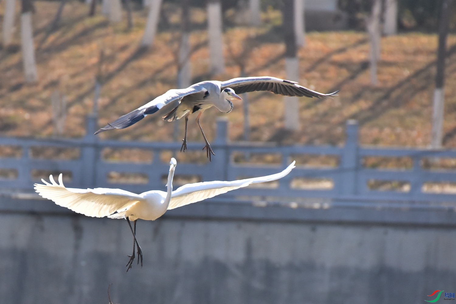 DSC_5675.JPG
