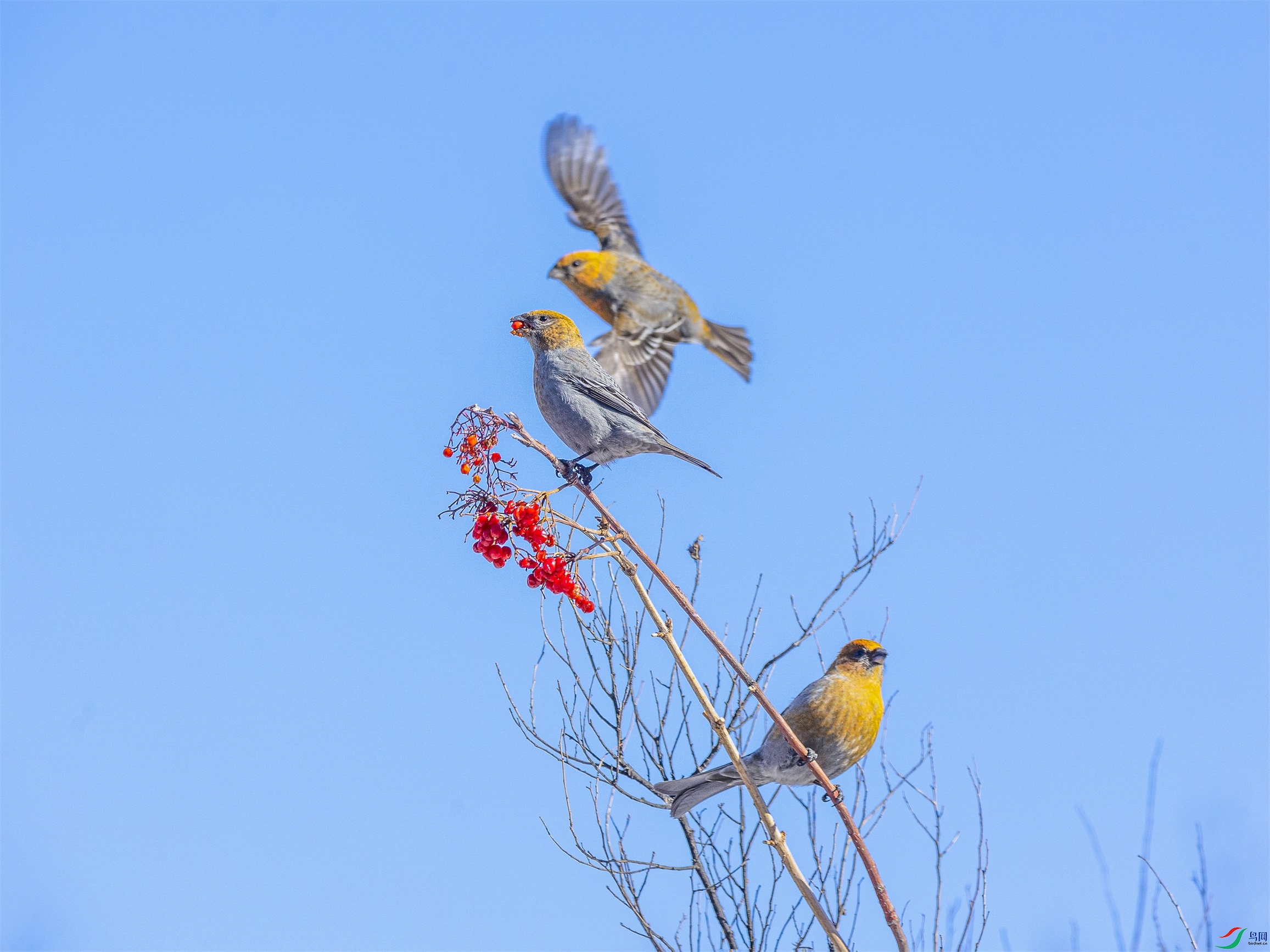 1K3A6746 ����1.jpg