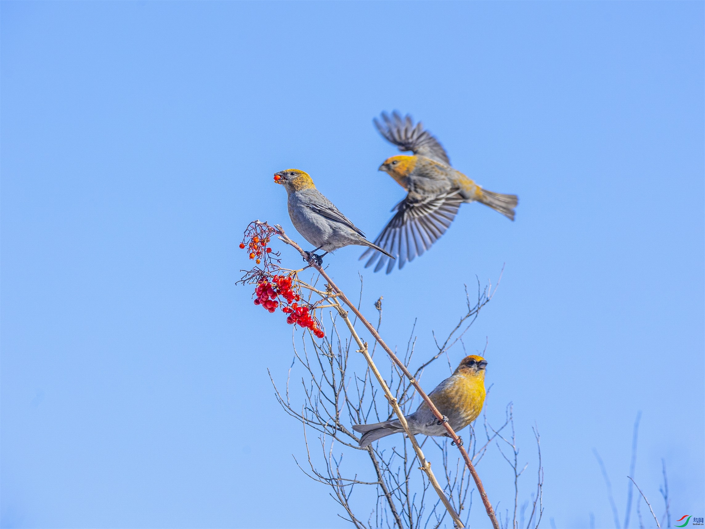 1K3A6745 ����1.jpg