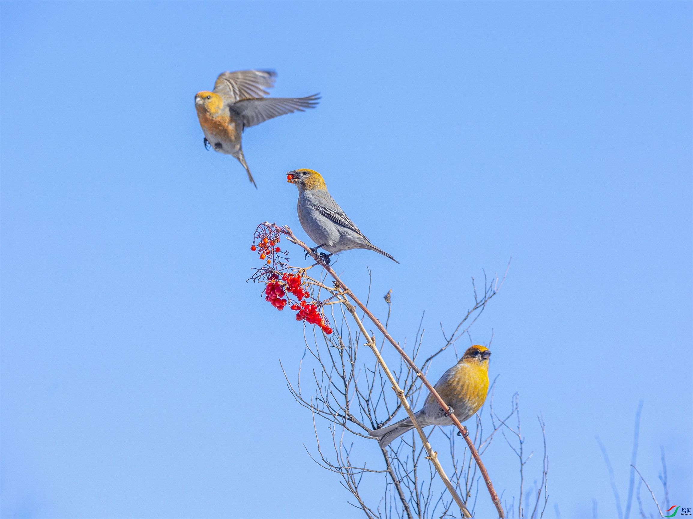 1K3A6748 ����1.jpg