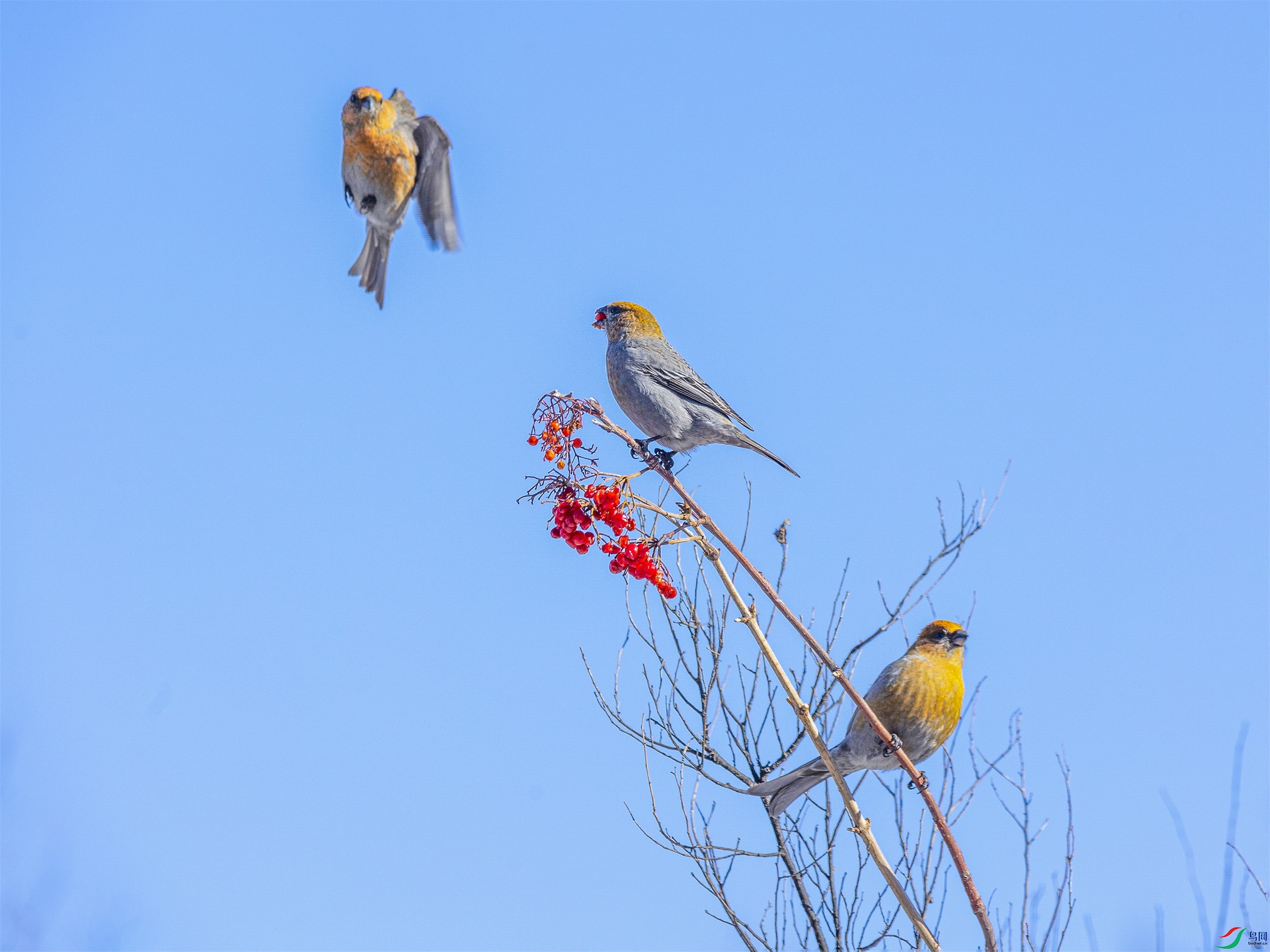 1K3A6749 ����1.jpg