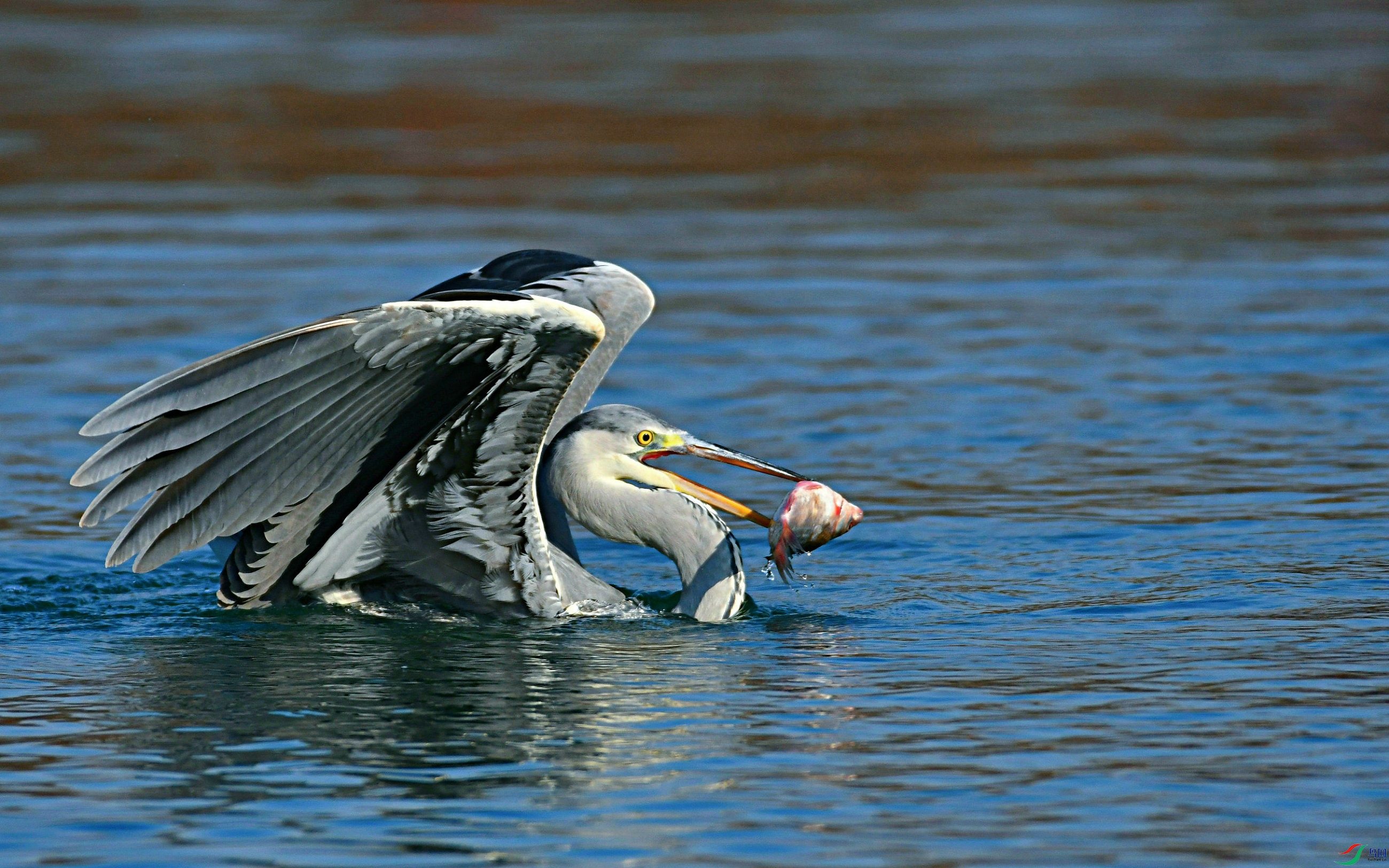 DSC_8045.JPG