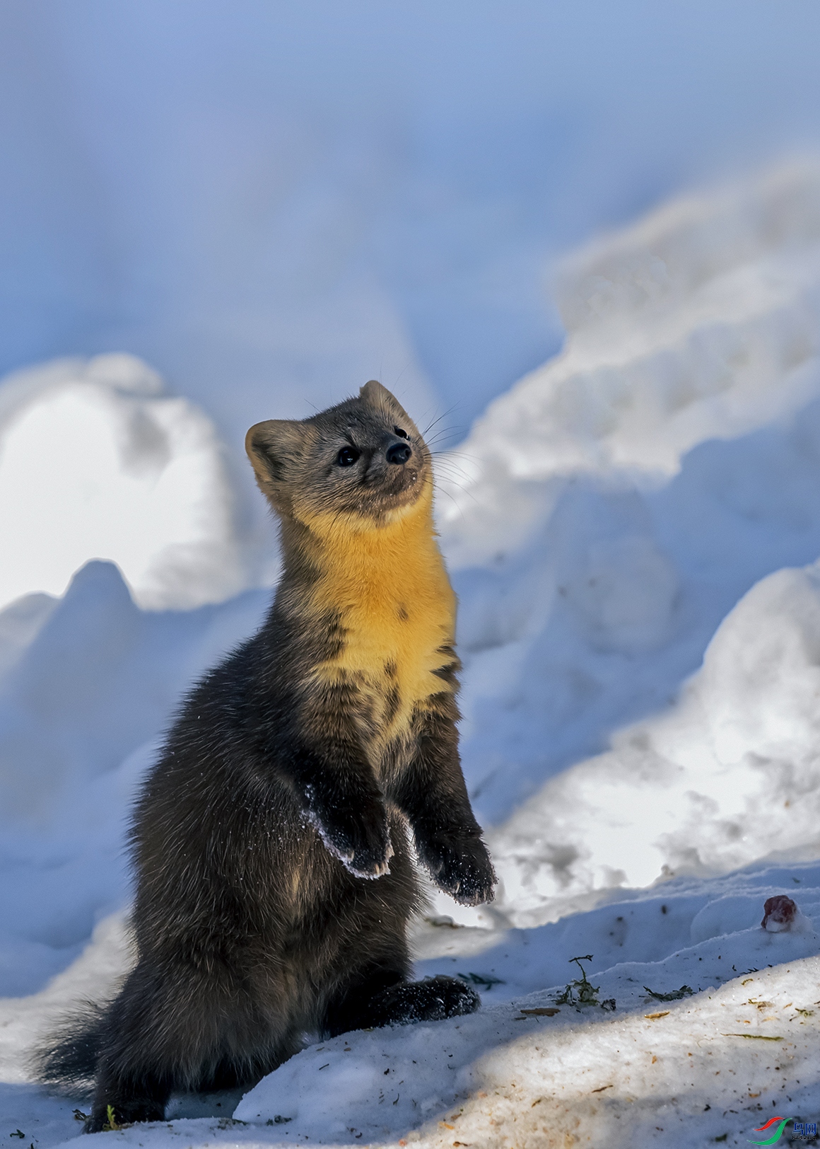 ����----�������