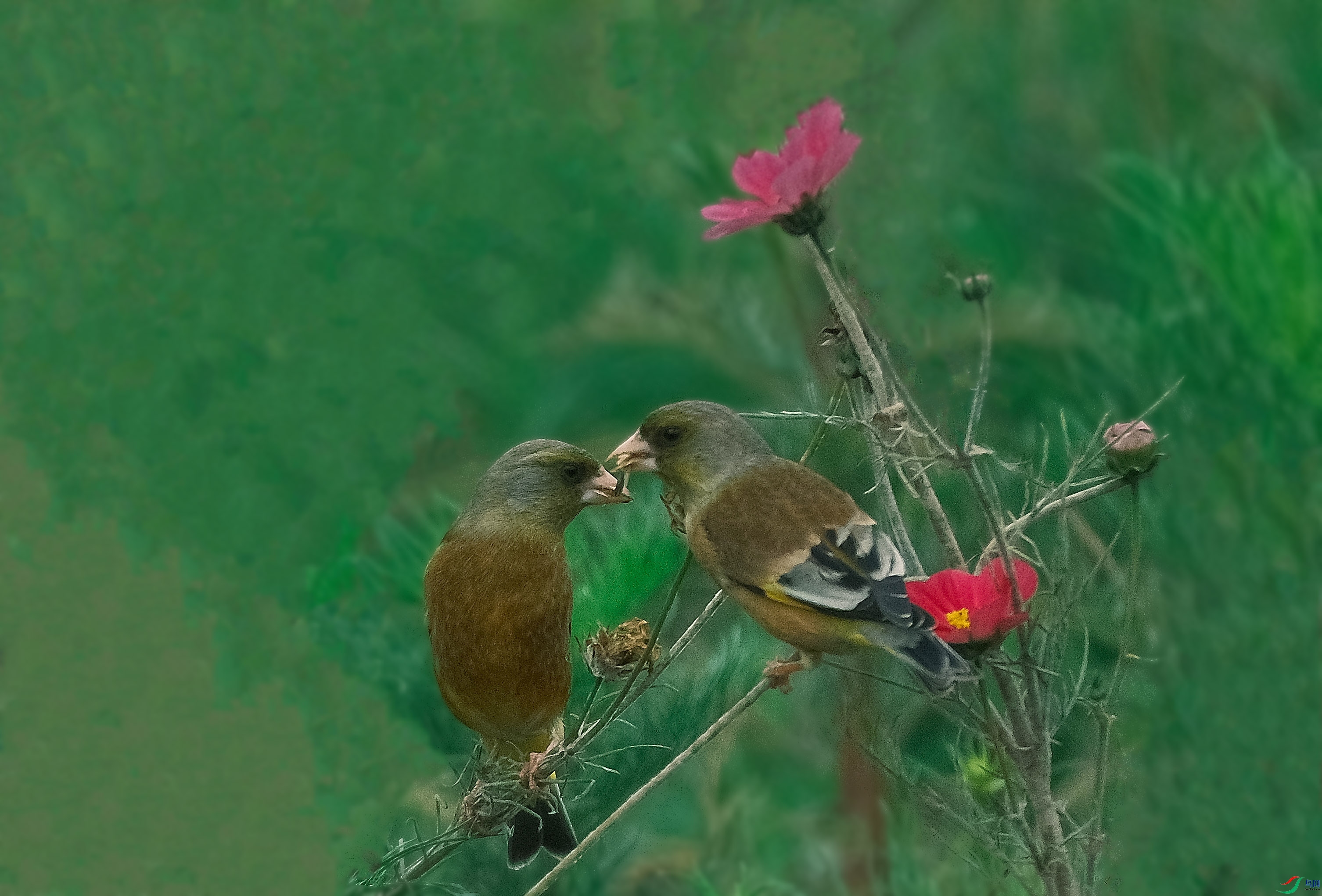 DSCF9229p.jpg